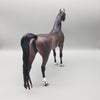 Tova OOAK Dapple Bay Arabian Stallion Turned Arab Mare with Straight Head By Jess Hamill Best Offers 7/24/23