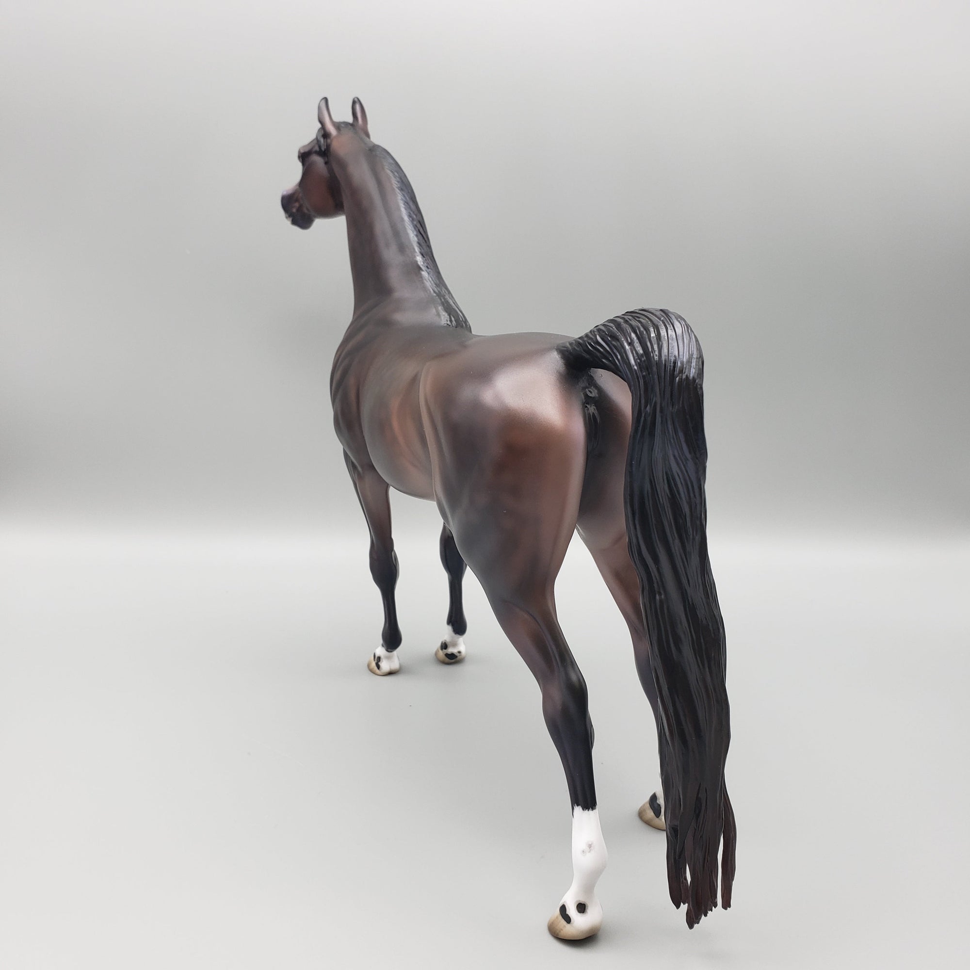 Tova OOAK Dapple Bay Arabian Stallion Turned Arab Mare with Straight Head By Jess Hamill Best Offers 7/24/23