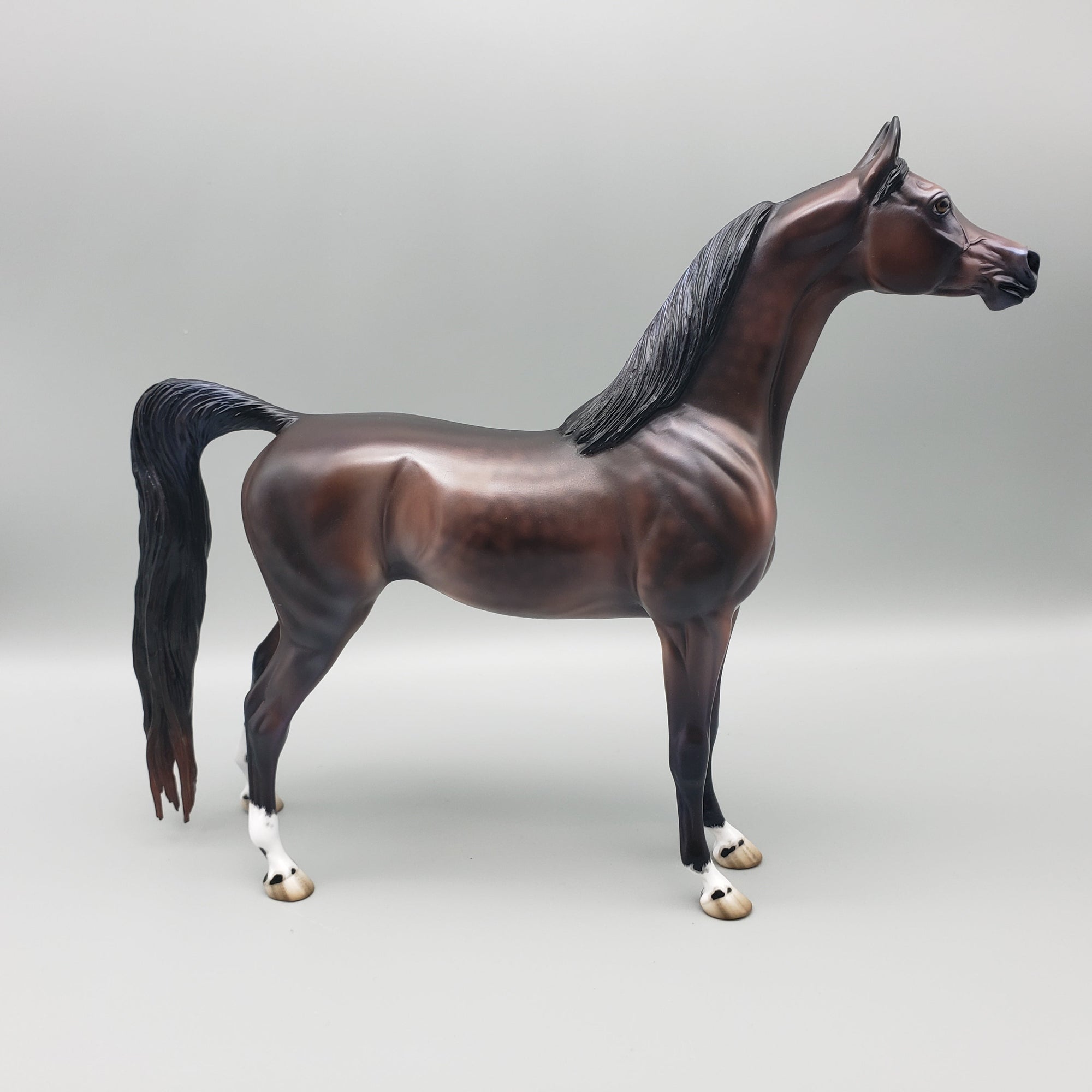 Tova OOAK Dapple Bay Arabian Stallion Turned Arab Mare with Straight Head By Jess Hamill Best Offers 7/24/23