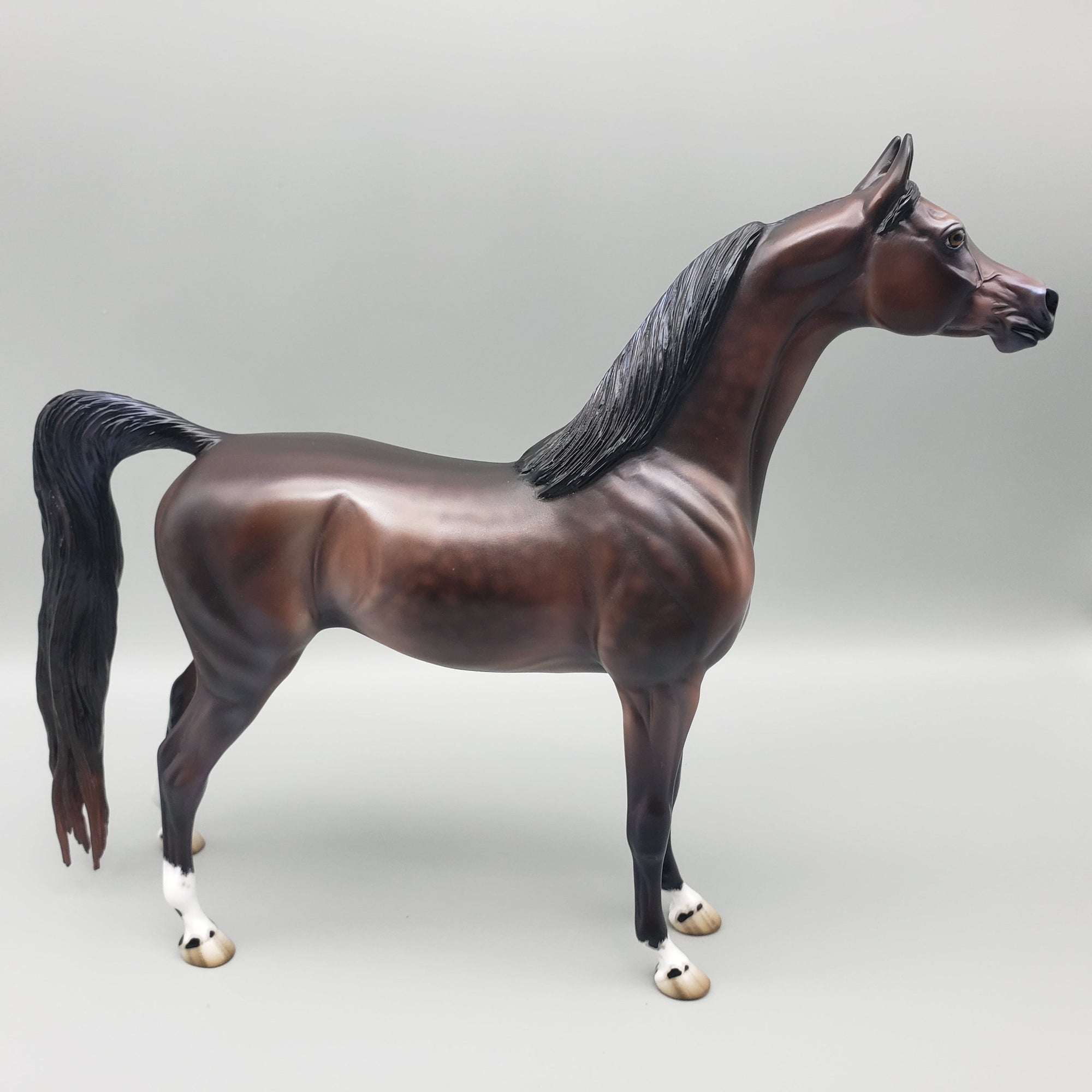 Tova OOAK Dapple Bay Arabian Stallion Turned Arab Mare with Straight Head By Jess Hamill Best Offers 7/24/23