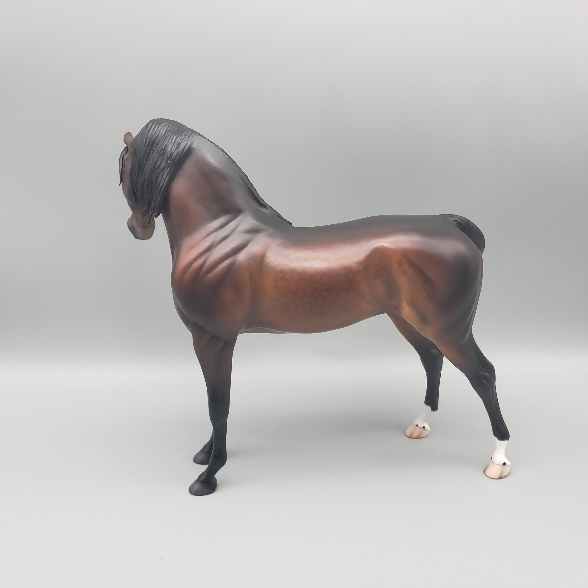 Namib OOAK Dappled Bay Arabian Stallion By Caroline Boydston Best Offers  7/31/23