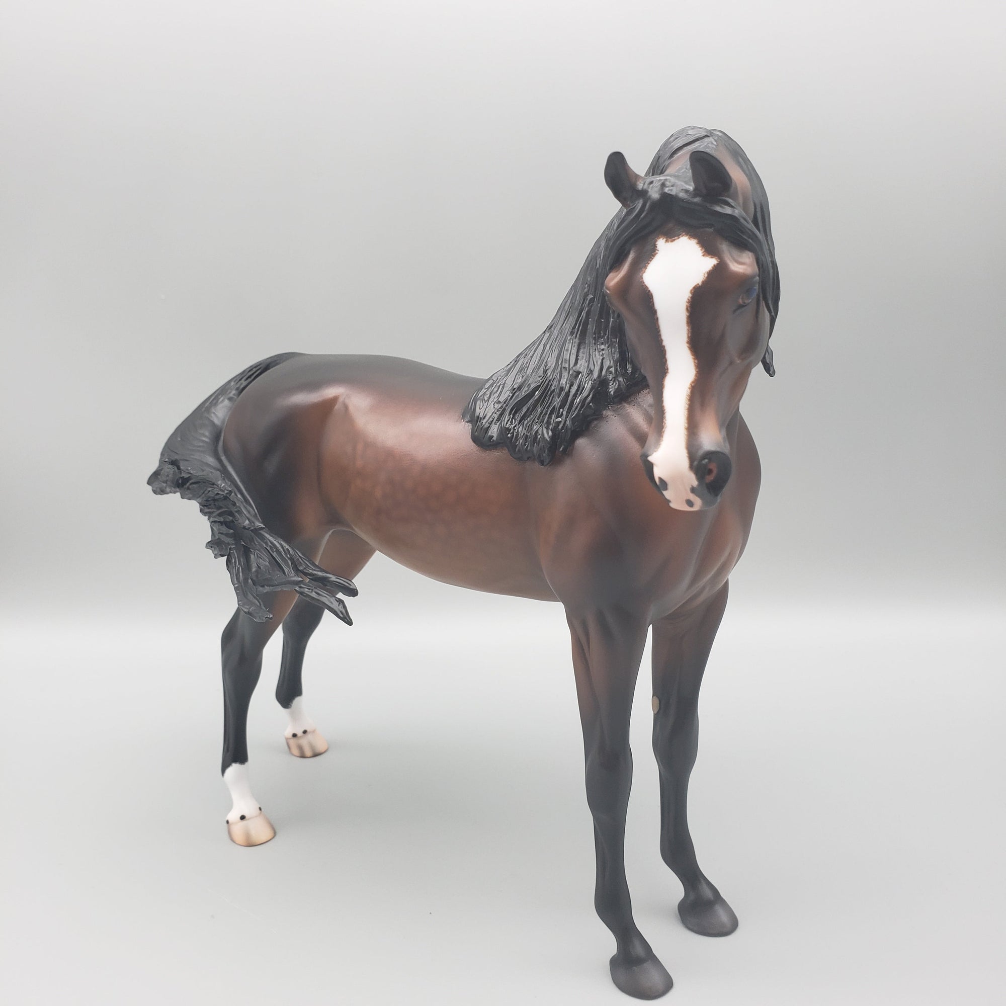 Namib OOAK Dappled Bay Arabian Stallion By Caroline Boydston Best Offers  7/31/23