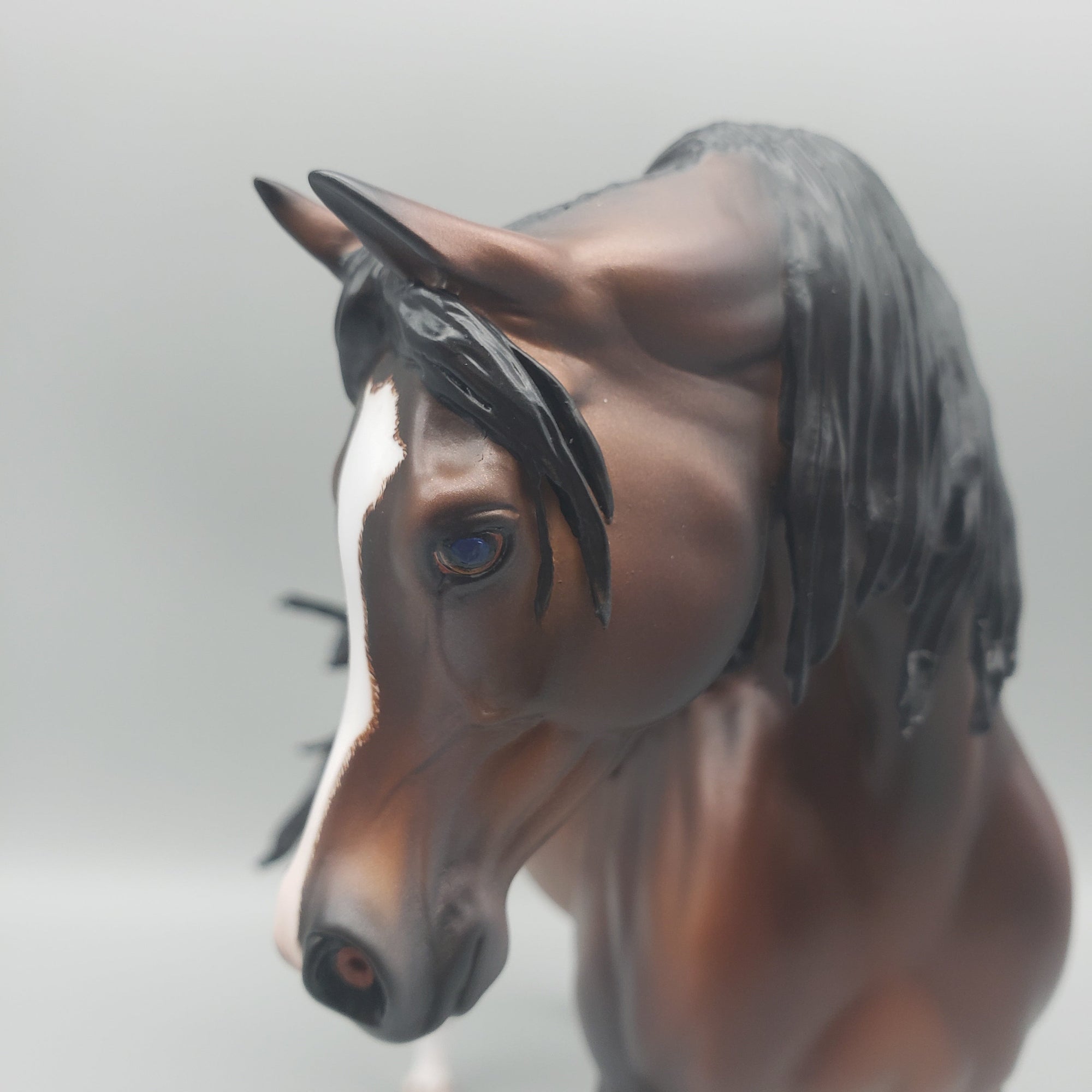 Namib OOAK Dappled Bay Arabian Stallion By Caroline Boydston Best Offers  7/31/23