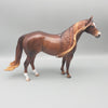 Jacaranda OOAK Dappled Chestnut Ideal Stock Horse  By Caroline Boydston Best Offers 7/31/23