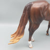 Jacaranda OOAK Dappled Chestnut Ideal Stock Horse  By Caroline Boydston Best Offers 7/31/23