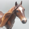 Jacaranda OOAK Dappled Chestnut Ideal Stock Horse  By Caroline Boydston Best Offers 7/31/23