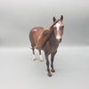 Jacaranda OOAK Dappled Chestnut Ideal Stock Horse  By Caroline Boydston Best Offers 7/31/23