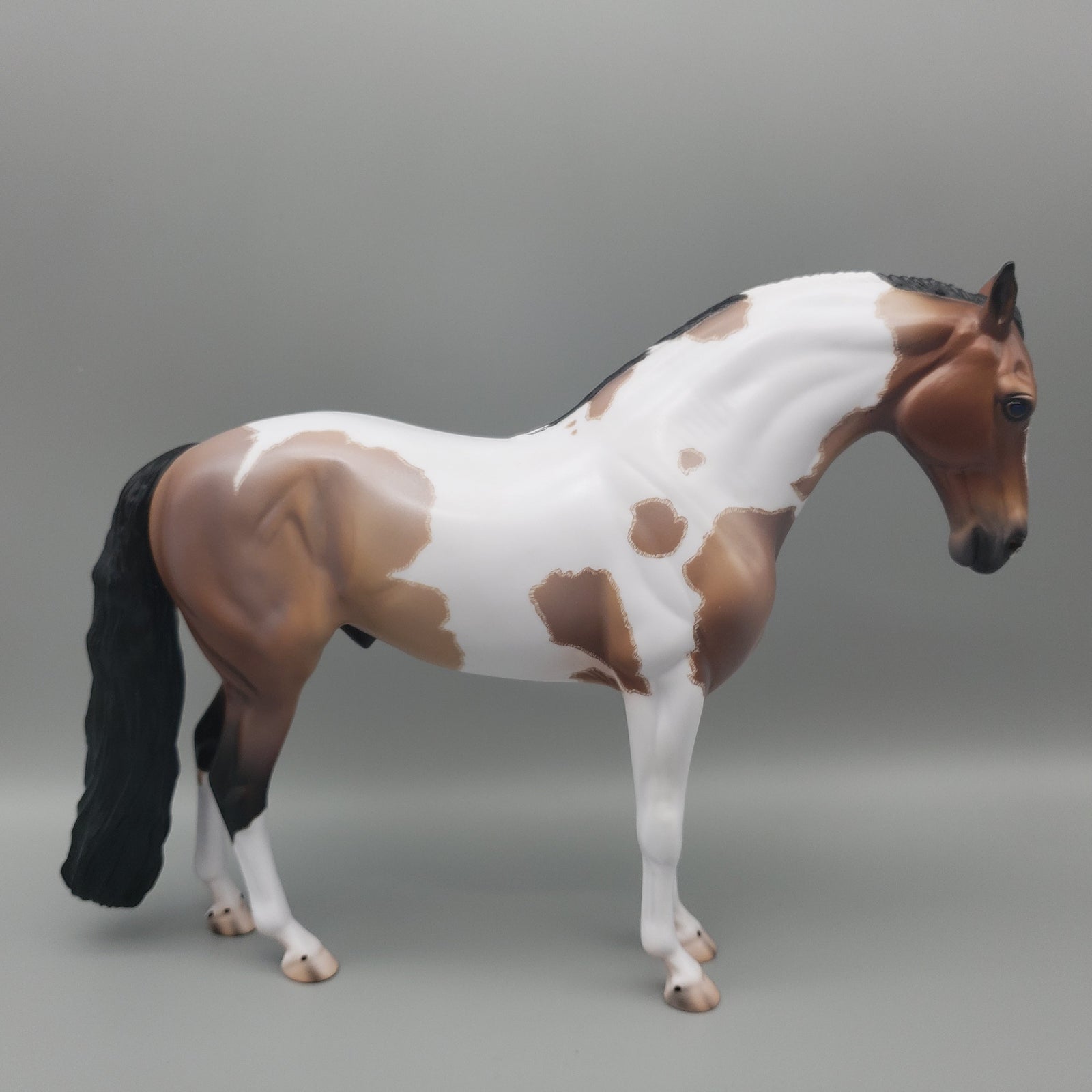 Karakum OOAK Bay Roan Tobiano Andalusian By Caroline Boydston Best Offers  7/31/23