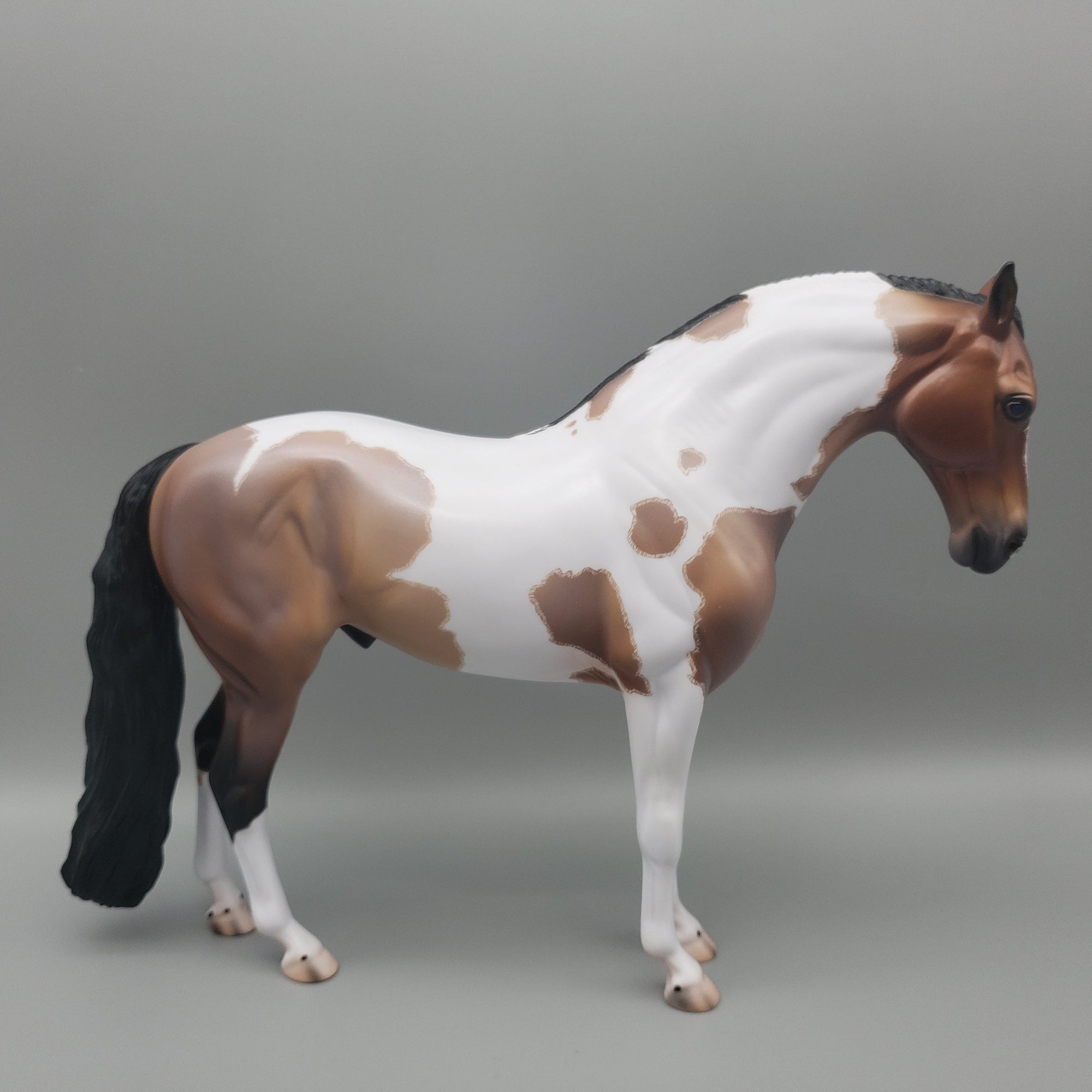 Karakum OOAK Bay Roan Tobiano Andalusian By Caroline Boydston Best Offers  7/31/23
