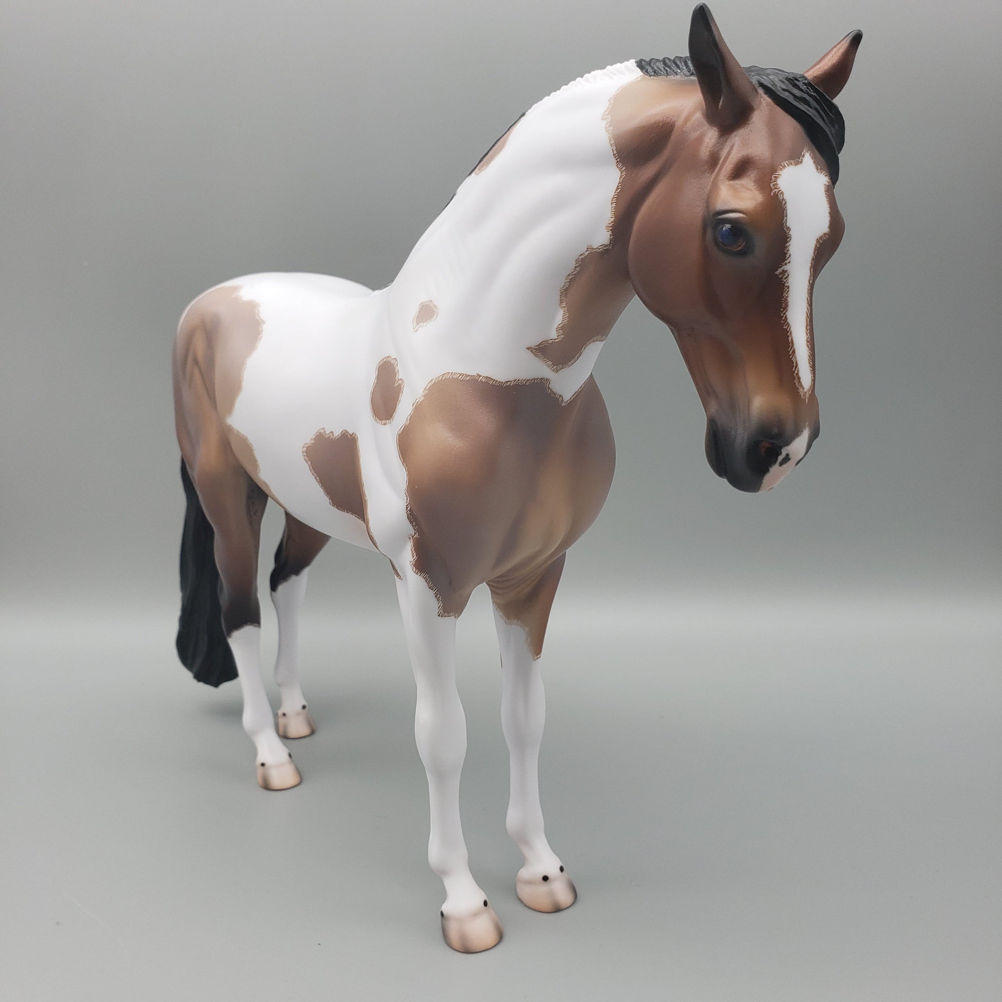 Karakum OOAK Bay Roan Tobiano Andalusian By Caroline Boydston Best Offers  7/31/23