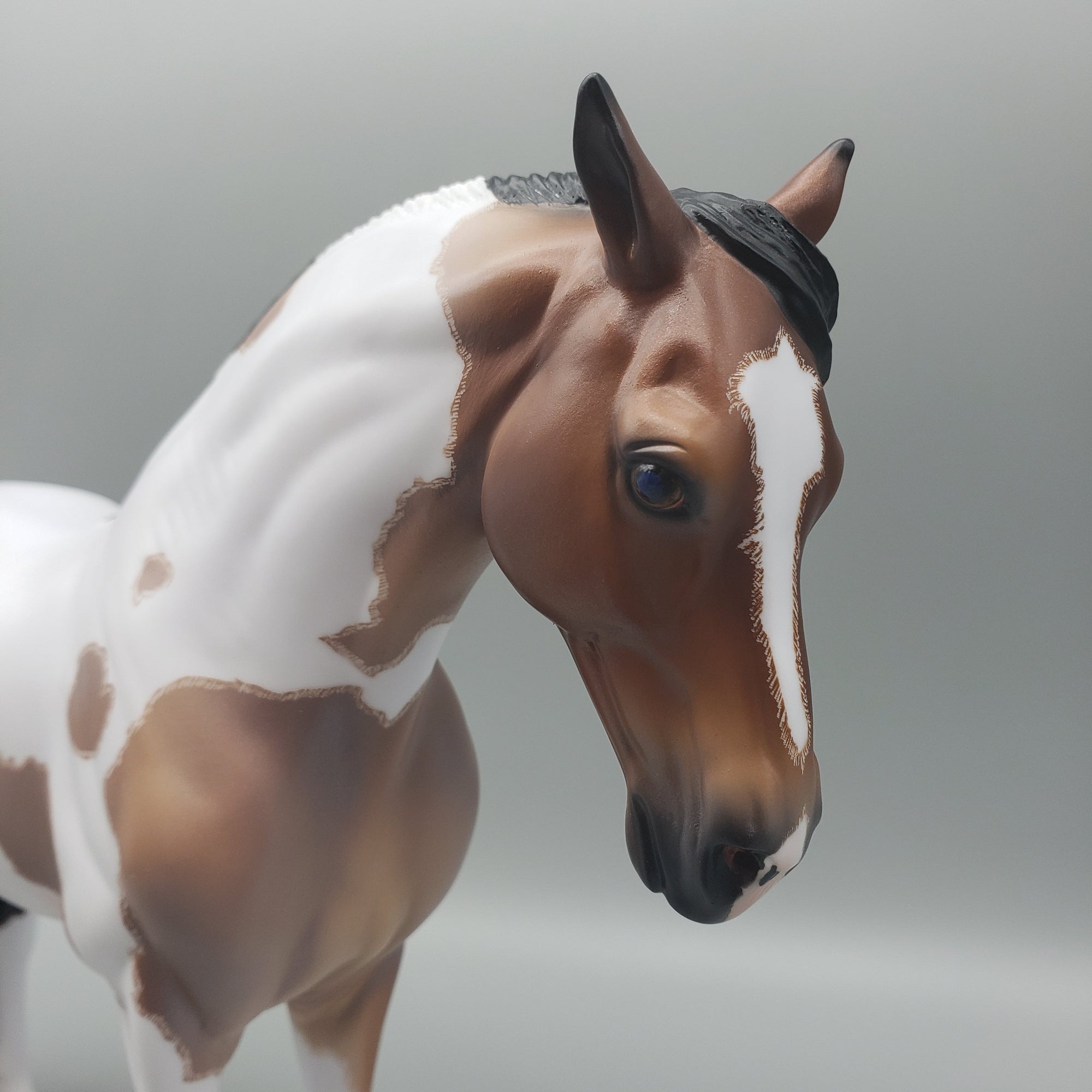 Karakum OOAK Bay Roan Tobiano Andalusian By Caroline Boydston Best Offers  7/31/23