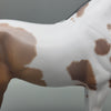 Karakum OOAK Bay Roan Tobiano Andalusian By Caroline Boydston Best Offers  7/31/23