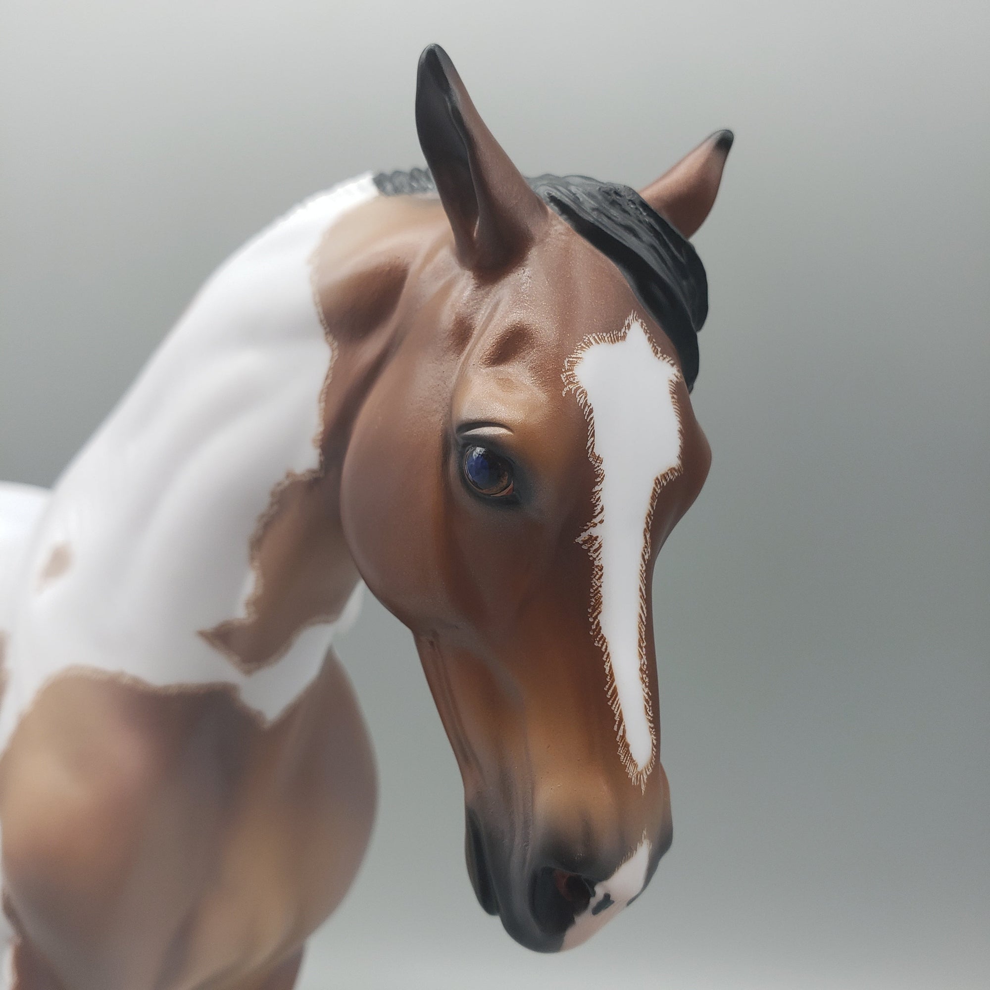 Karakum OOAK Bay Roan Tobiano Andalusian By Caroline Boydston Best Offers  7/31/23