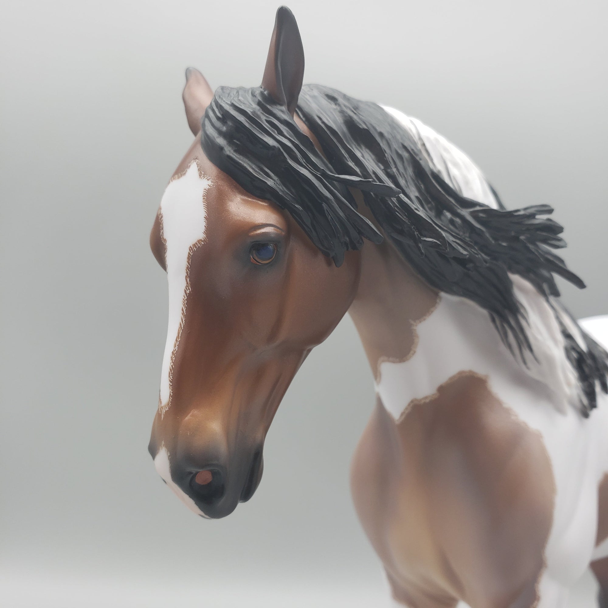 Karakum OOAK Bay Roan Tobiano Andalusian By Caroline Boydston Best Offers  7/31/23