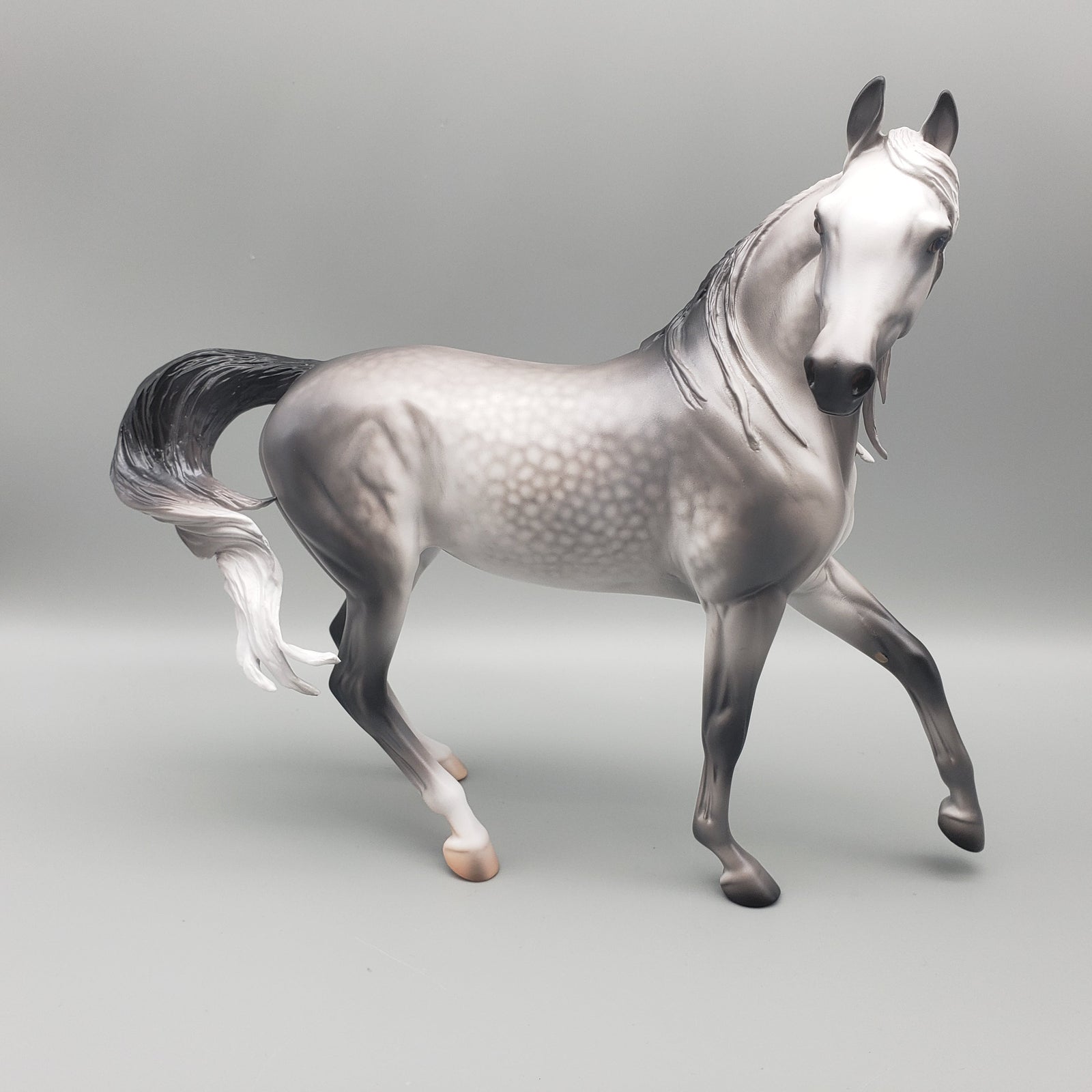 Laurel OOAK Dappled Grey Arabian Mare By Caroline Boydston Best Offers  12/18/23