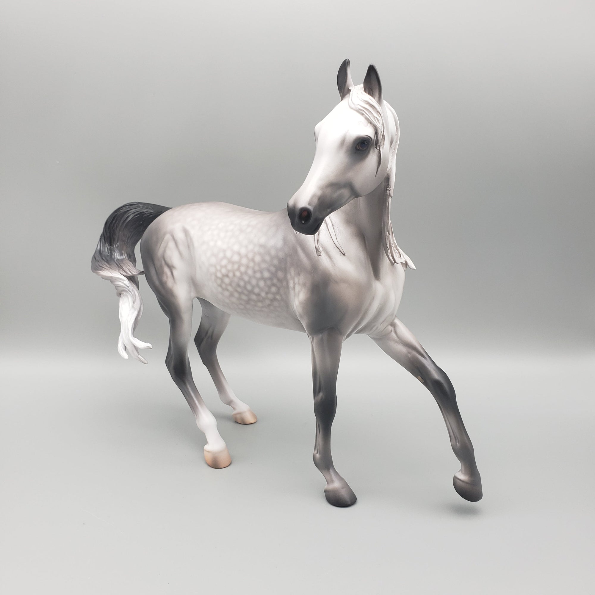 Laurel OOAK Dappled Grey Arabian Mare By Caroline Boydston Best Offers  12/18/23