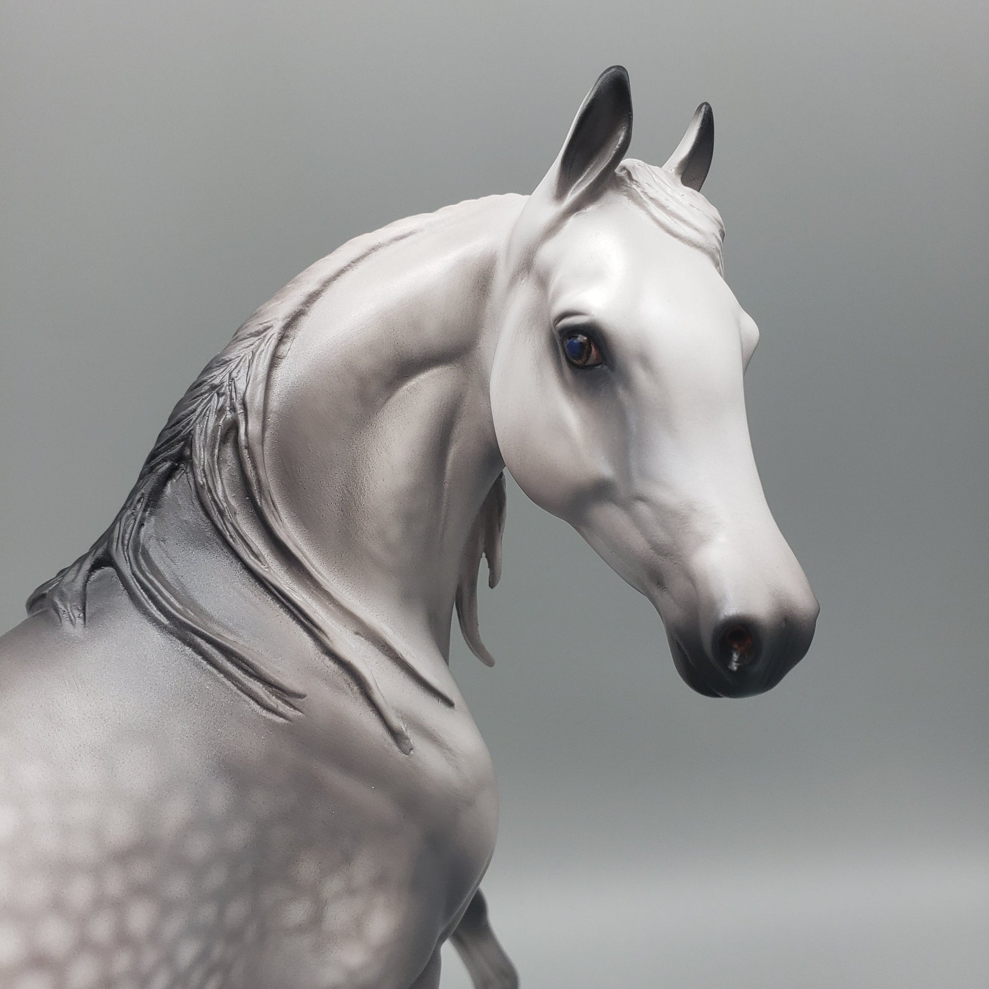 Laurel OOAK Dappled Grey Arabian Mare By Caroline Boydston Best Offers  12/18/23
