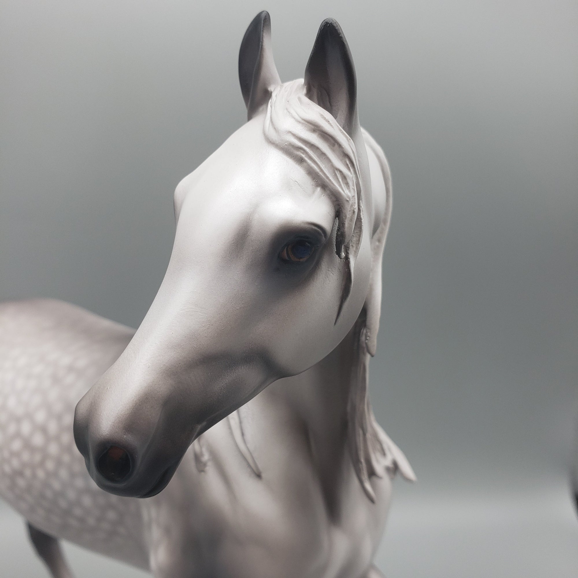 Laurel OOAK Dappled Grey Arabian Mare By Caroline Boydston Best Offers  12/18/23