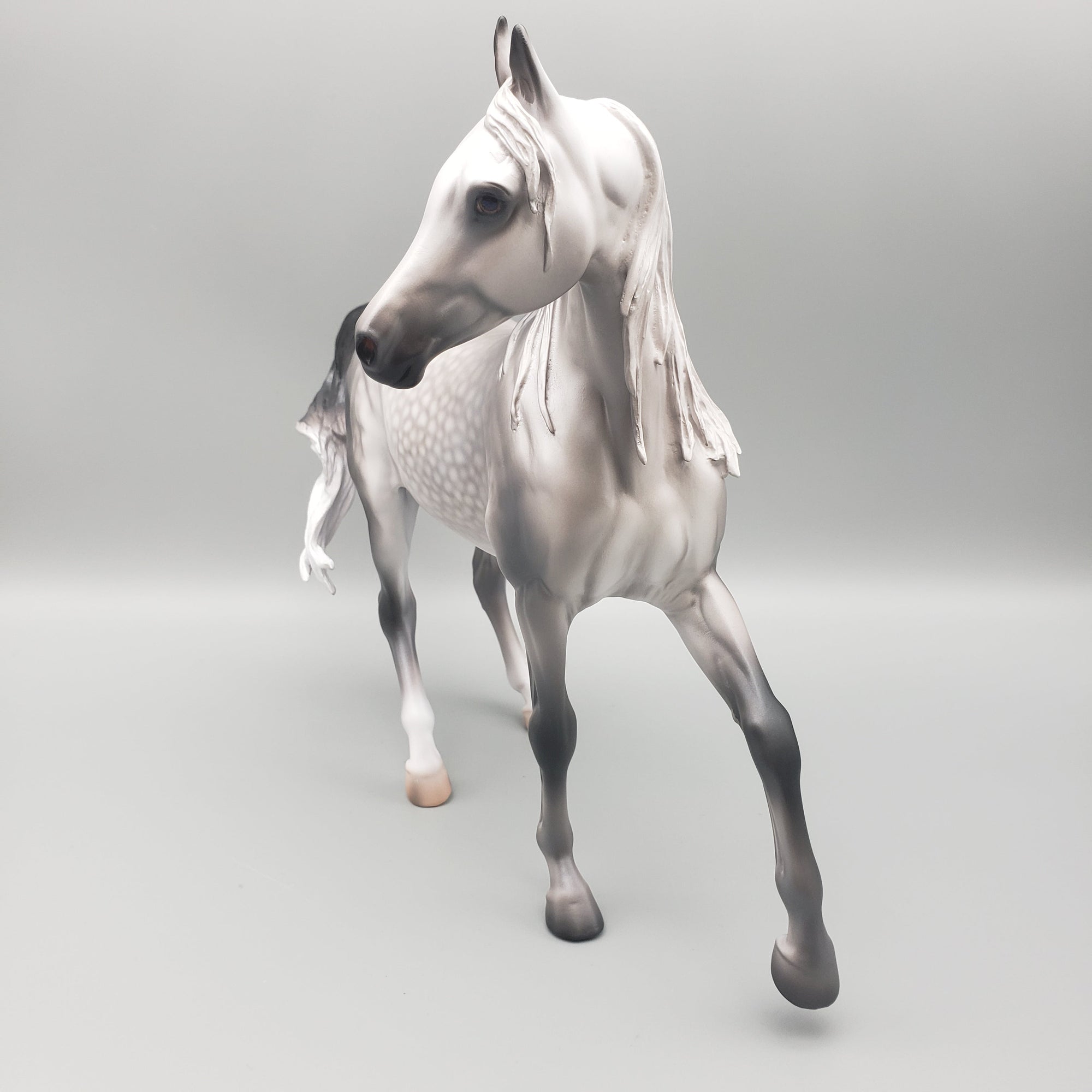 Laurel OOAK Dappled Grey Arabian Mare By Caroline Boydston Best Offers  12/18/23