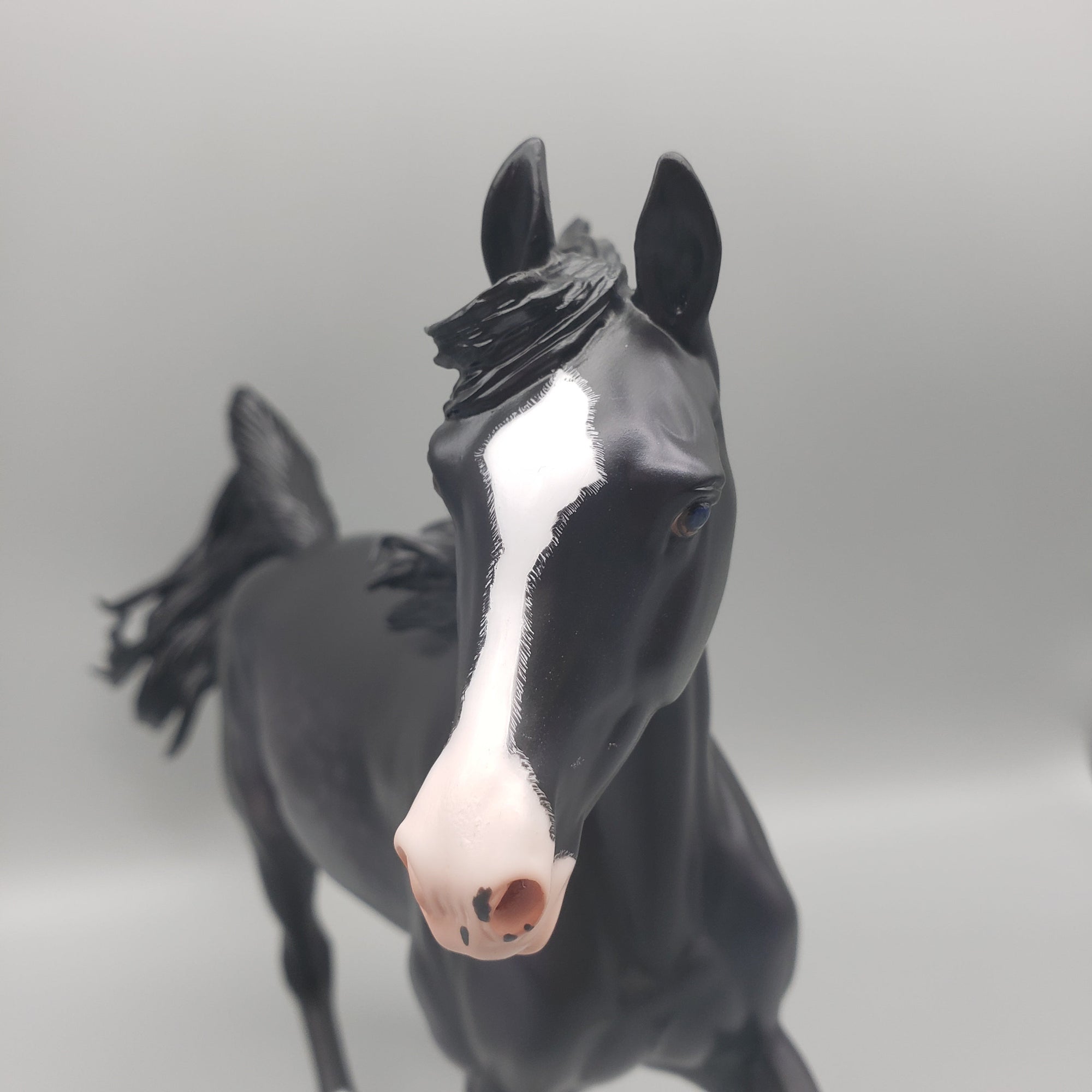 Vinca OOAK Dappled Black Arabian Mare By Caroline Boydston Best Offers  7/31/23