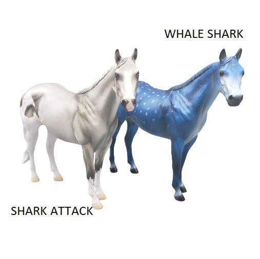 TRADITIONAL SIZE Shark Attack and Whale Shark Patterns | DAH Special July 2023