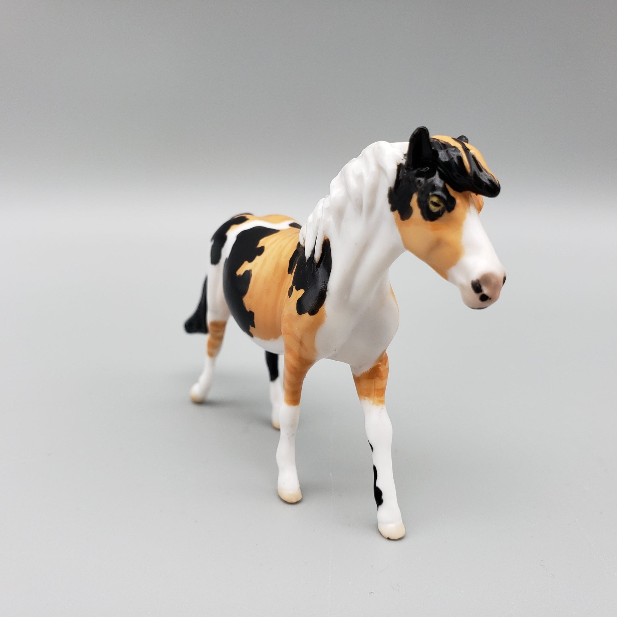 Tater Tot OOAK International Cat Day Pony Calico Chip By Jess Hamill