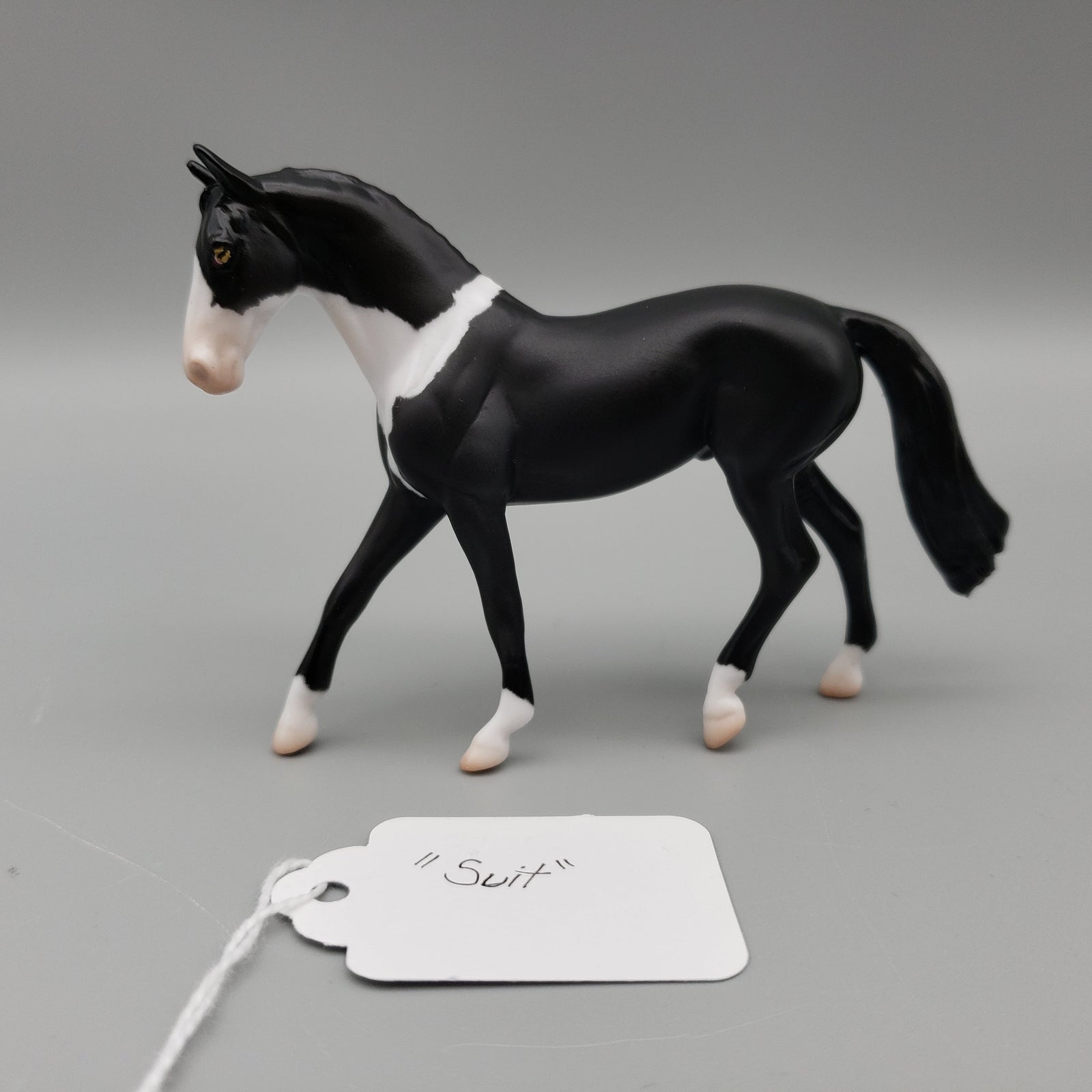 Suit OOAK International Cat Day Warmblood Chip By Angela Marleau