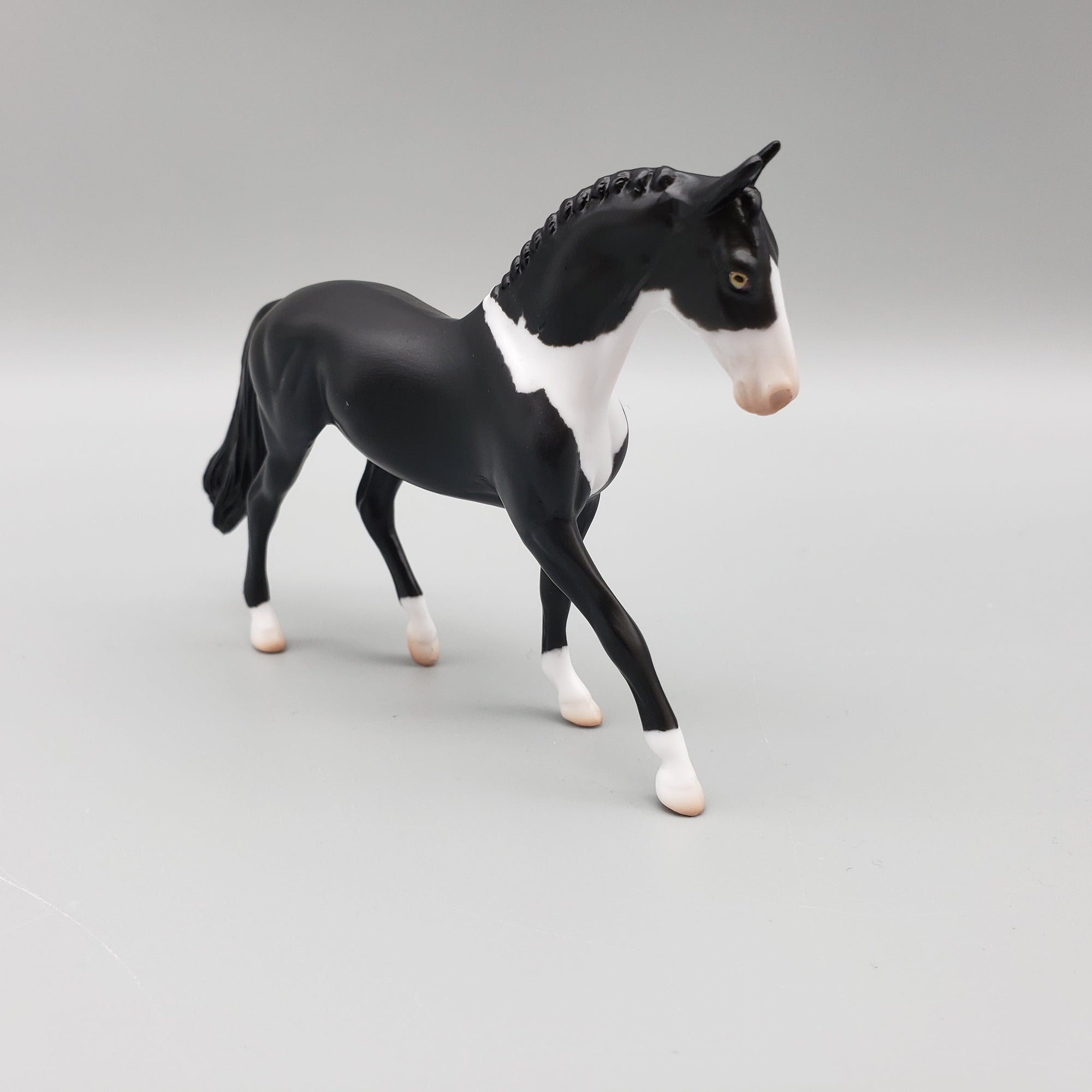 Suit OOAK International Cat Day Warmblood Chip By Angela Marleau