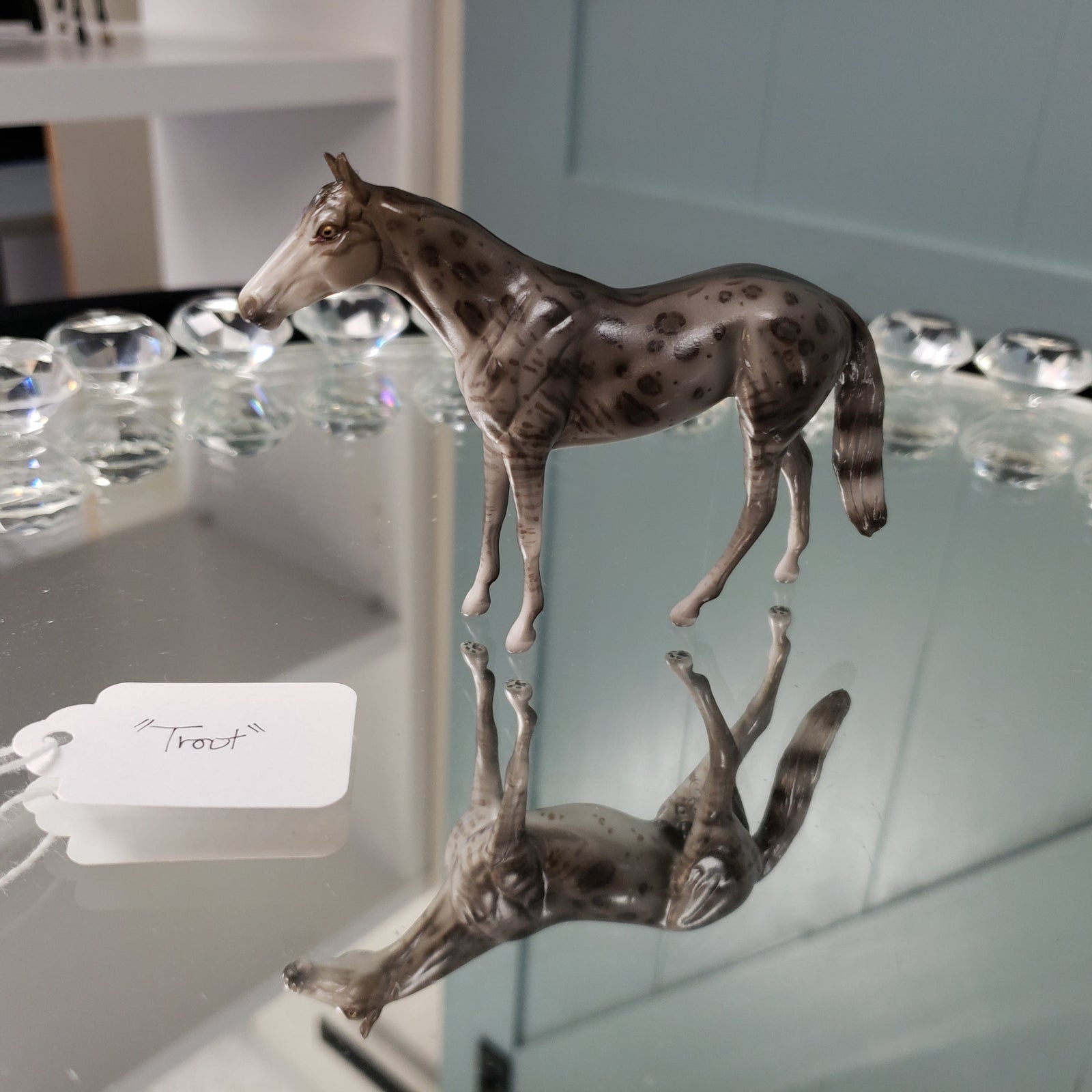 Trout OOAK International Cat Day Charcoal Bengel Thoroughbred Chip By Jess Hamill