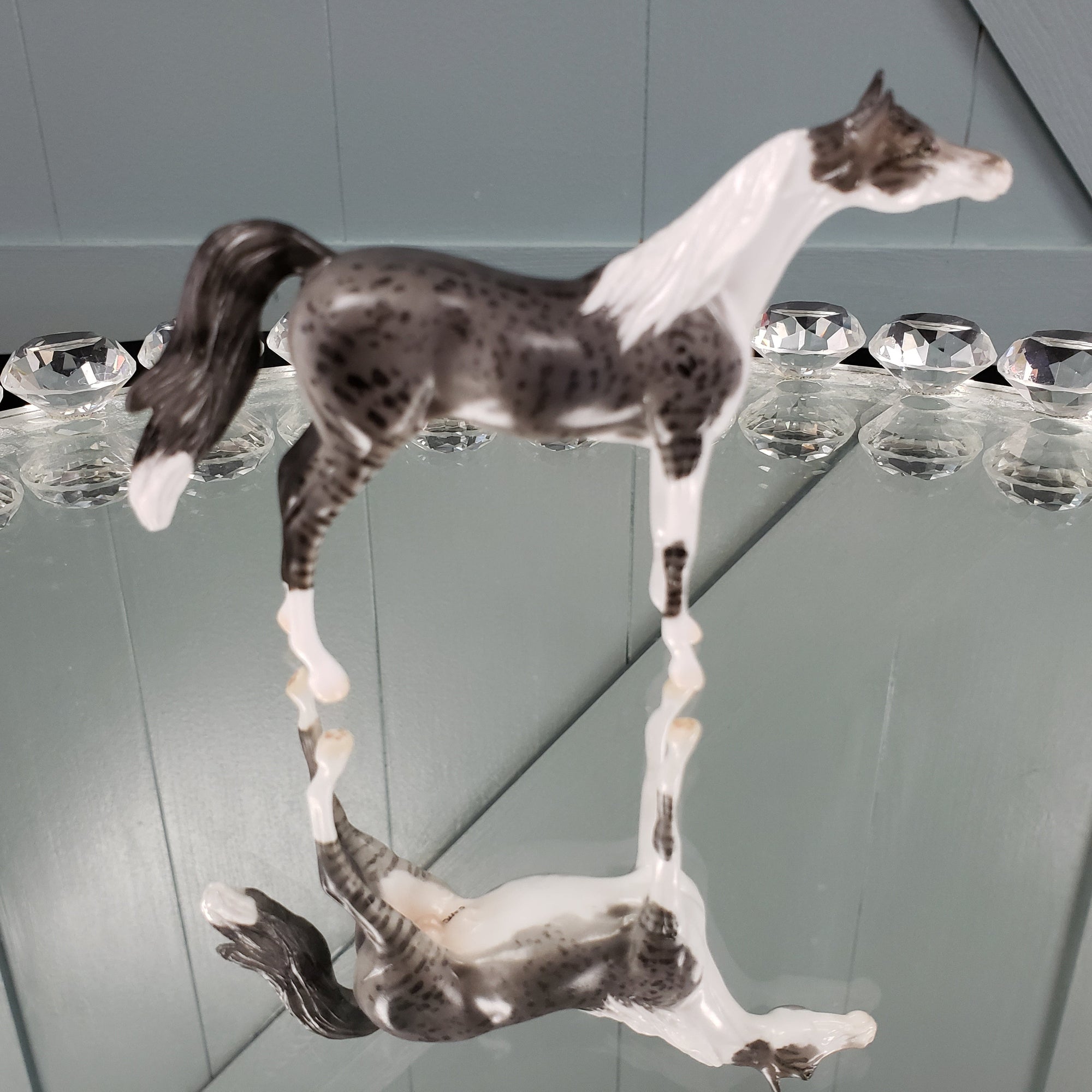 Brocoli OOAK International Cat Day Arabian Chip By Jess Hamill