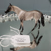 Sagwa OOAK International Cat Day Seal Point Siamese Cat Thoroughbred Chip By Jess Hamill