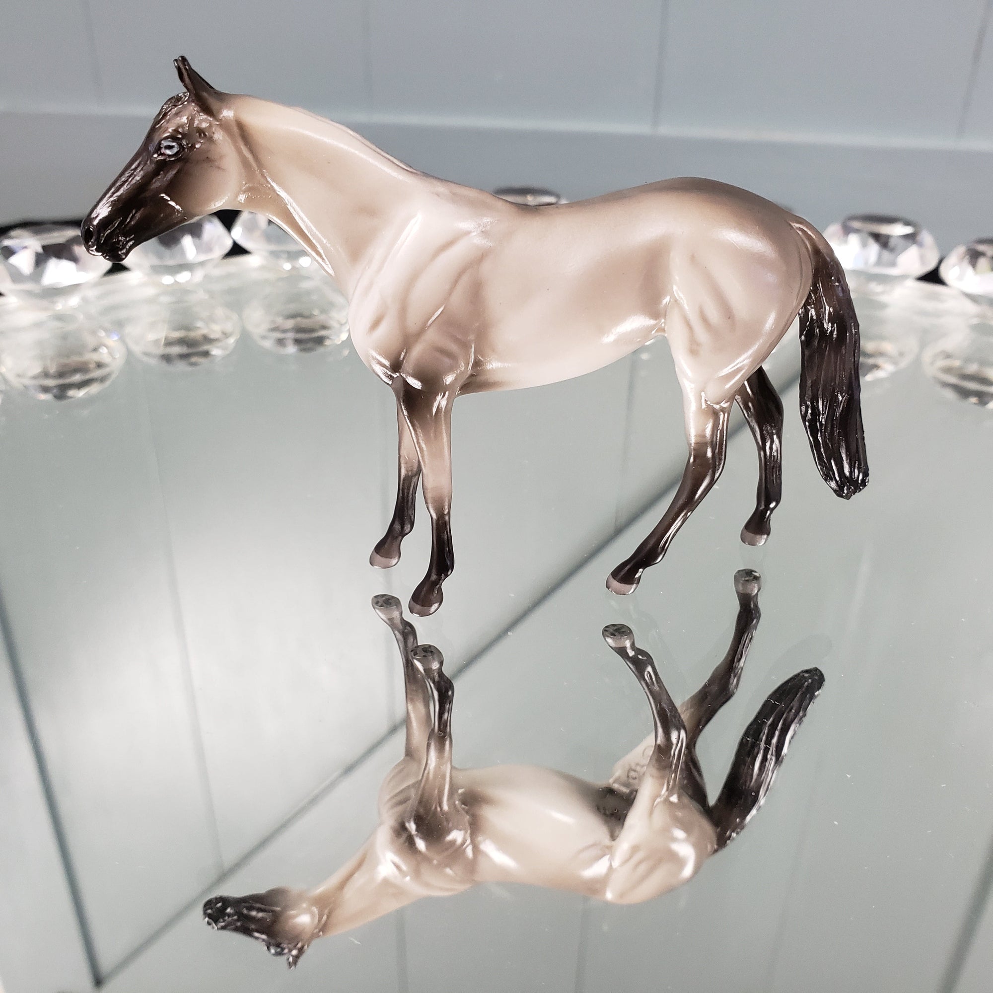 Sagwa OOAK International Cat Day Seal Point Siamese Cat Thoroughbred Chip By Jess Hamill