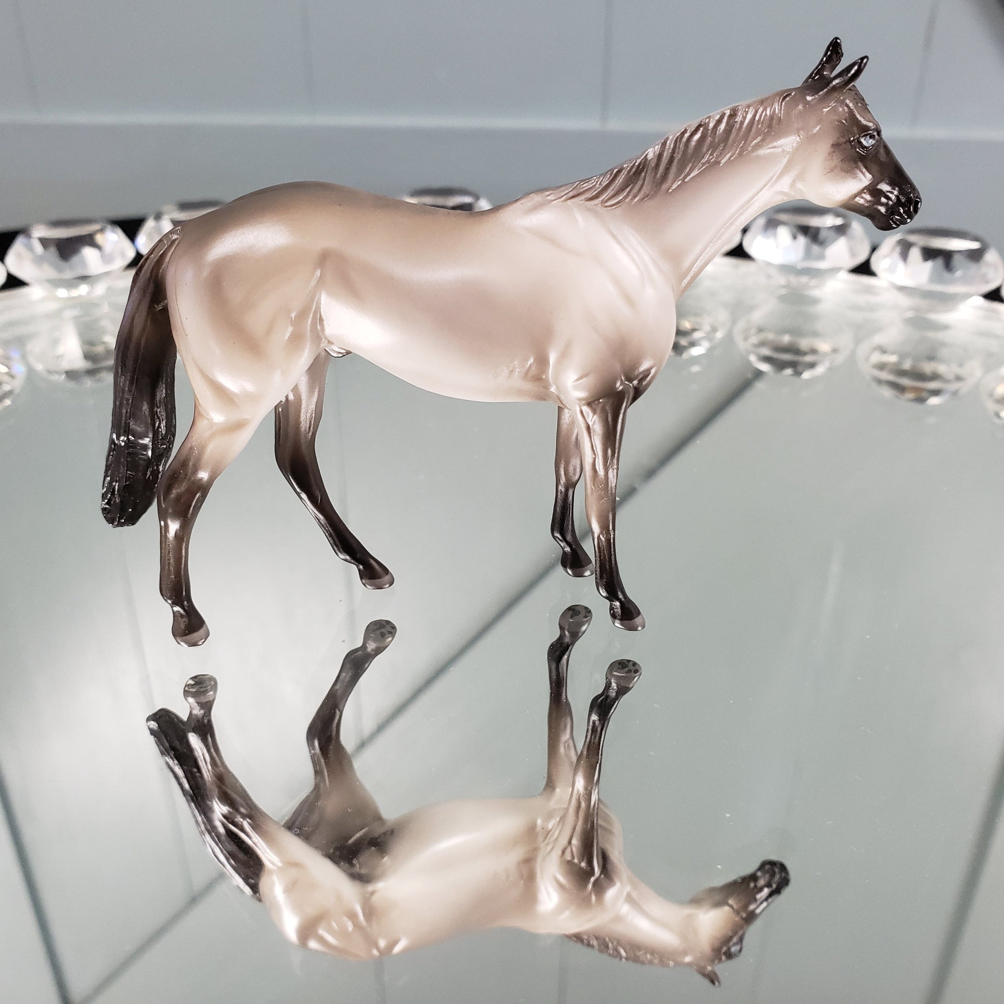 Sagwa OOAK International Cat Day Seal Point Siamese Cat Thoroughbred Chip By Jess Hamill