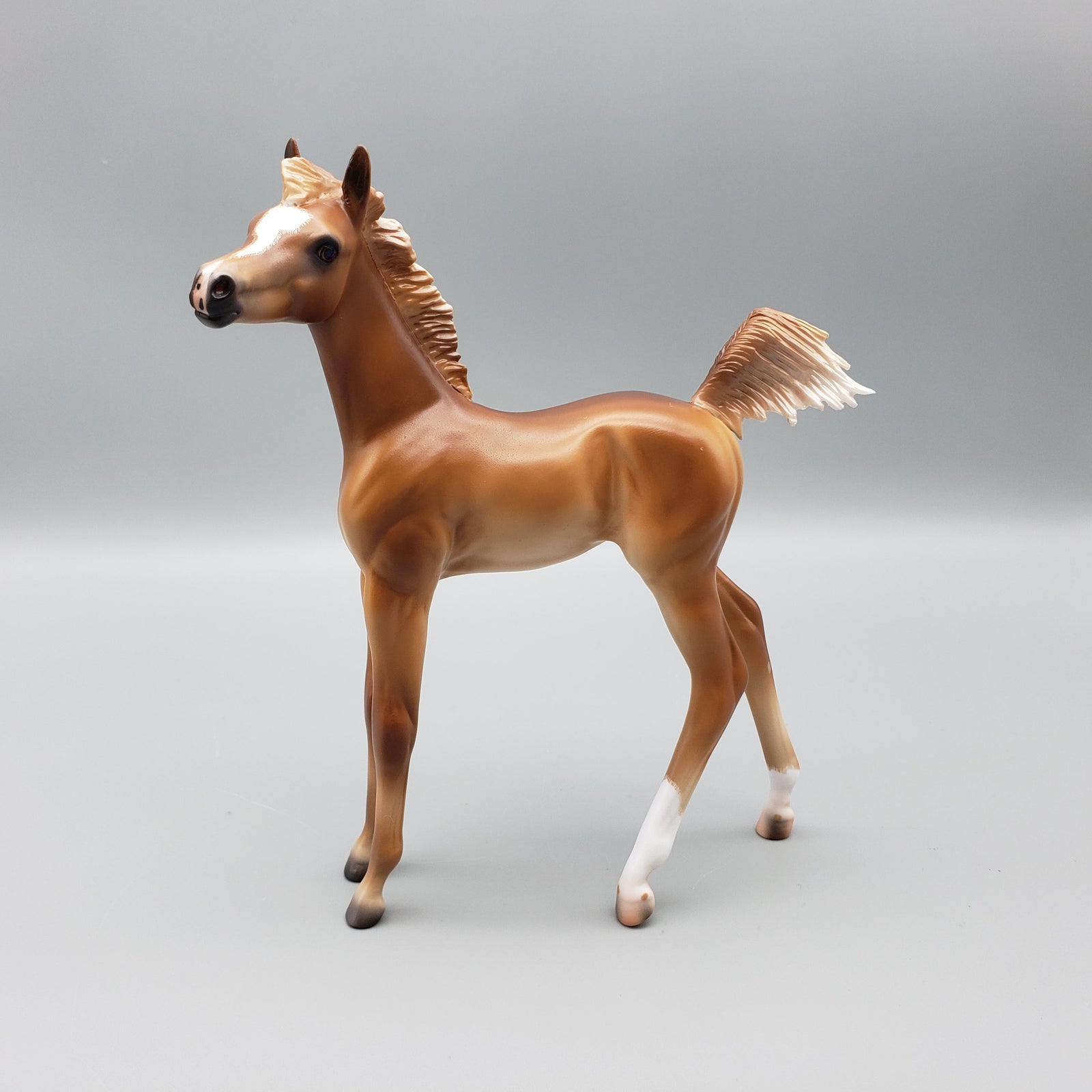 Cypress Chestnut Arabian Filly Foal with Cocked Leg By Caroline Boydston Best Offers 8/14/23