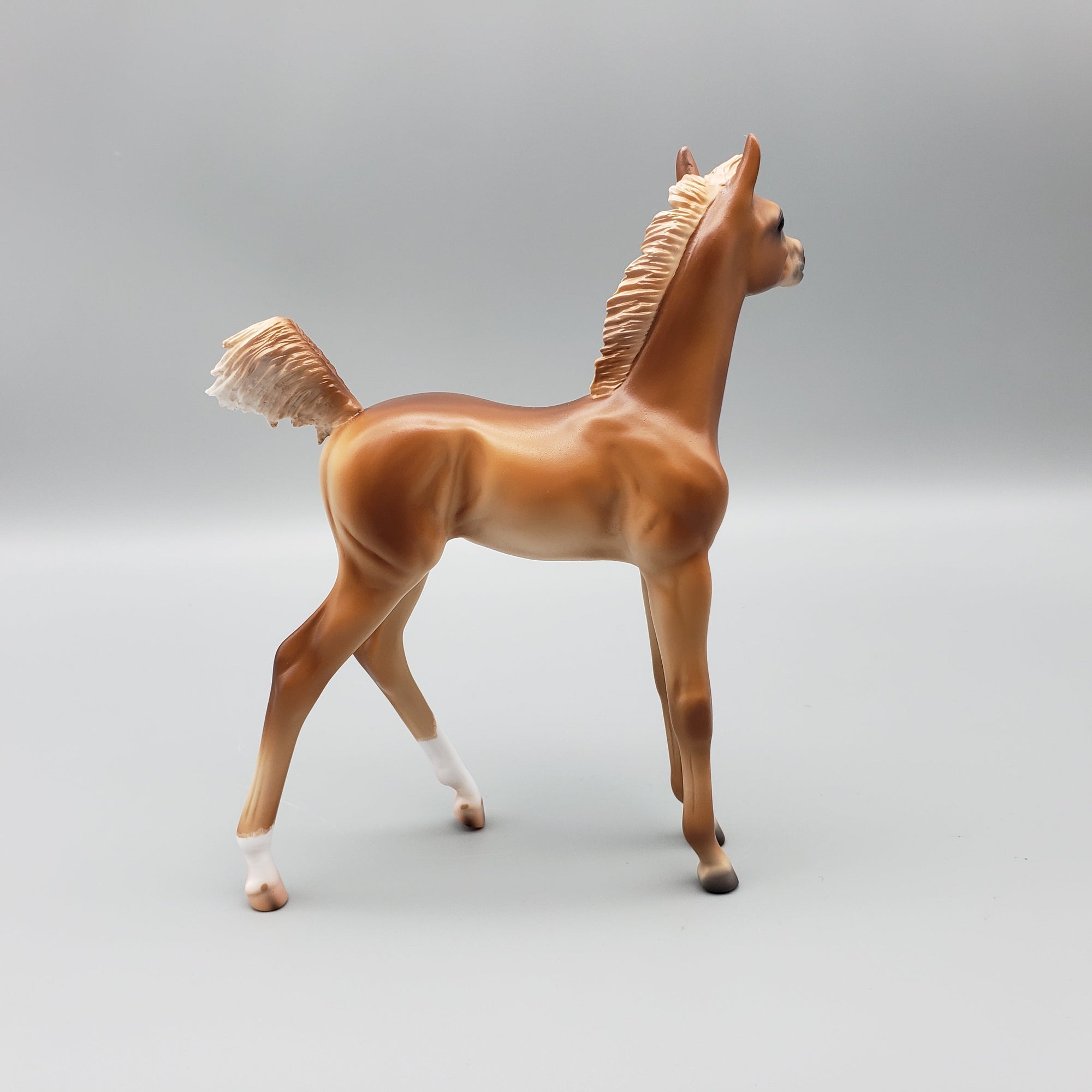 Cypress Chestnut Arabian Filly Foal with Cocked Leg By Caroline Boydston Best Offers 8/14/23