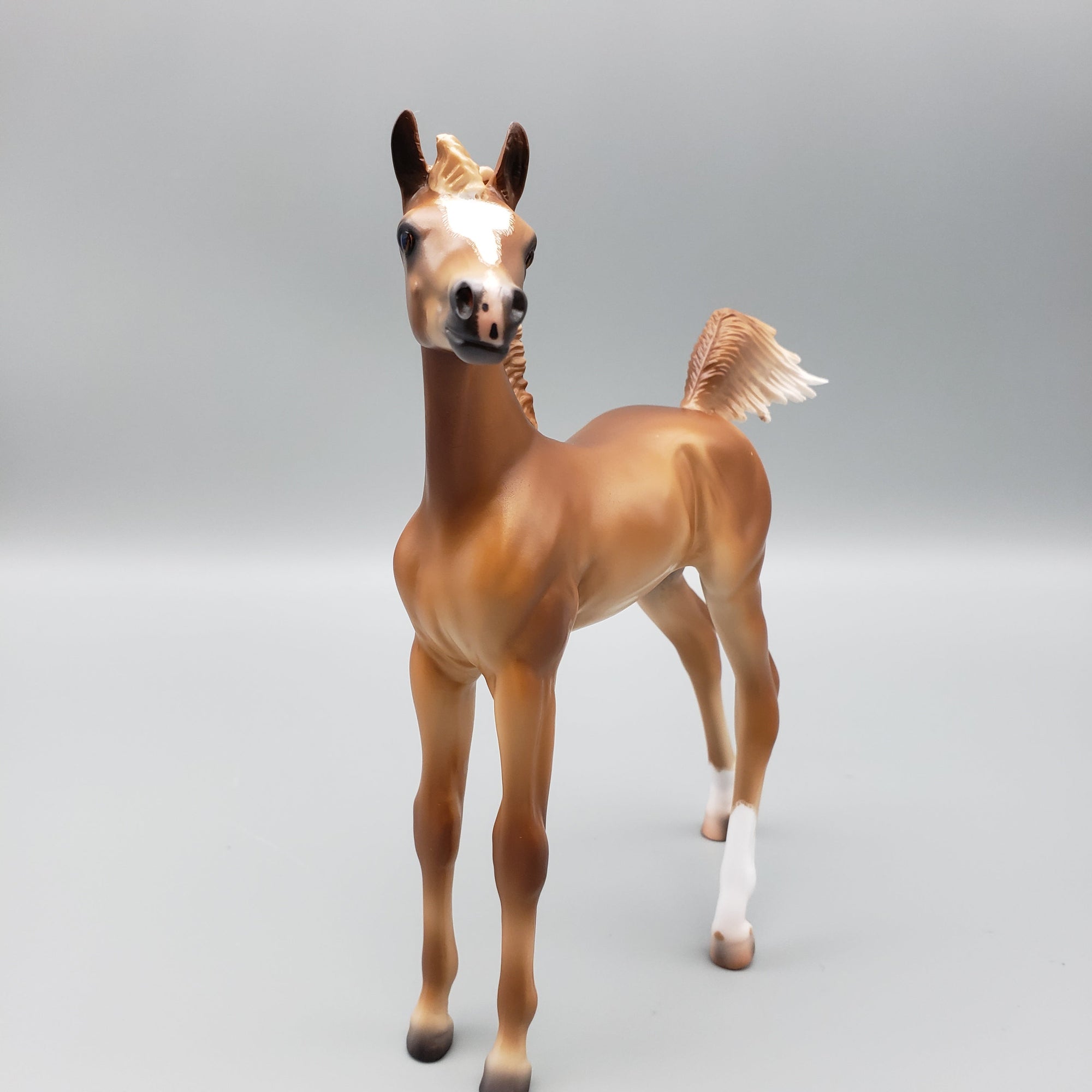 Cypress Chestnut Arabian Filly Foal with Cocked Leg By Caroline Boydston Best Offers 8/14/23