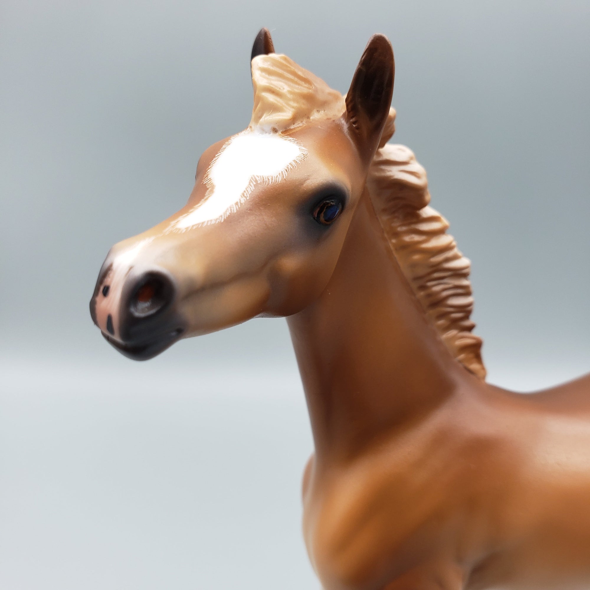 Cypress Chestnut Arabian Filly Foal with Cocked Leg By Caroline Boydston Best Offers 8/14/23