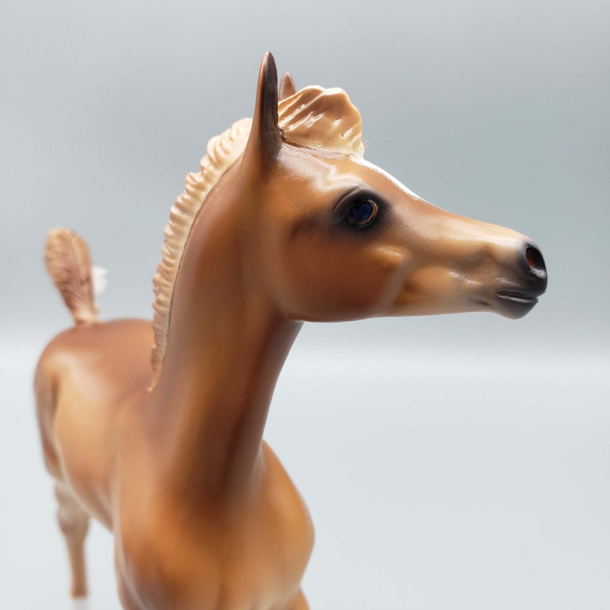 Cypress Chestnut Arabian Filly Foal with Cocked Leg By Caroline Boydston Best Offers 8/14/23