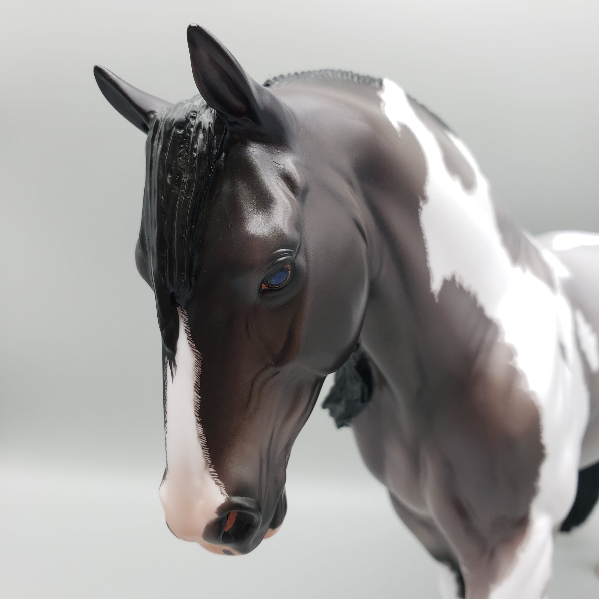 Ginko Blue Roan Tobiano Irish Draft By Caroline Boydston Best Offers 8/14/23