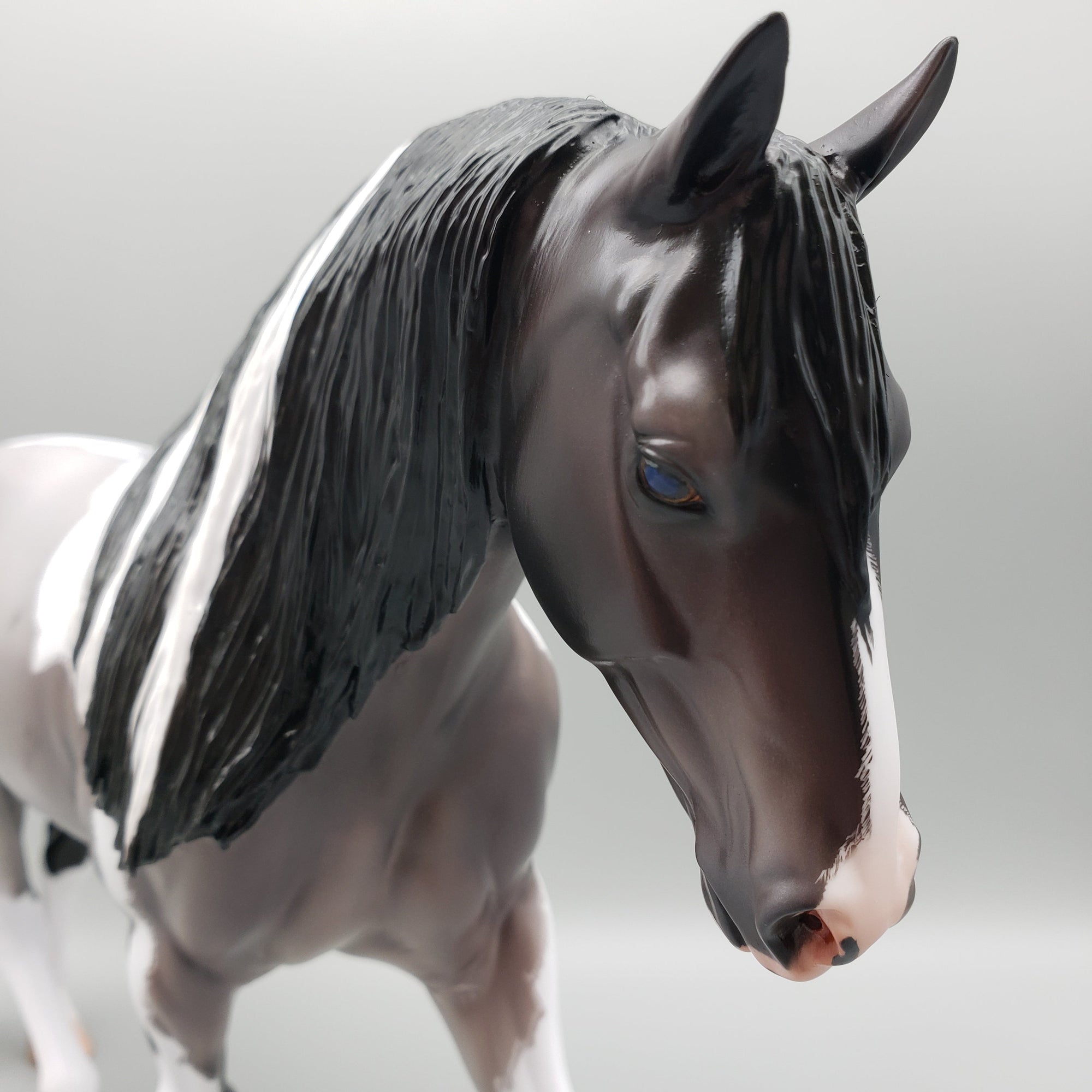 Ginko Blue Roan Tobiano Irish Draft By Caroline Boydston Best Offers 8/14/23