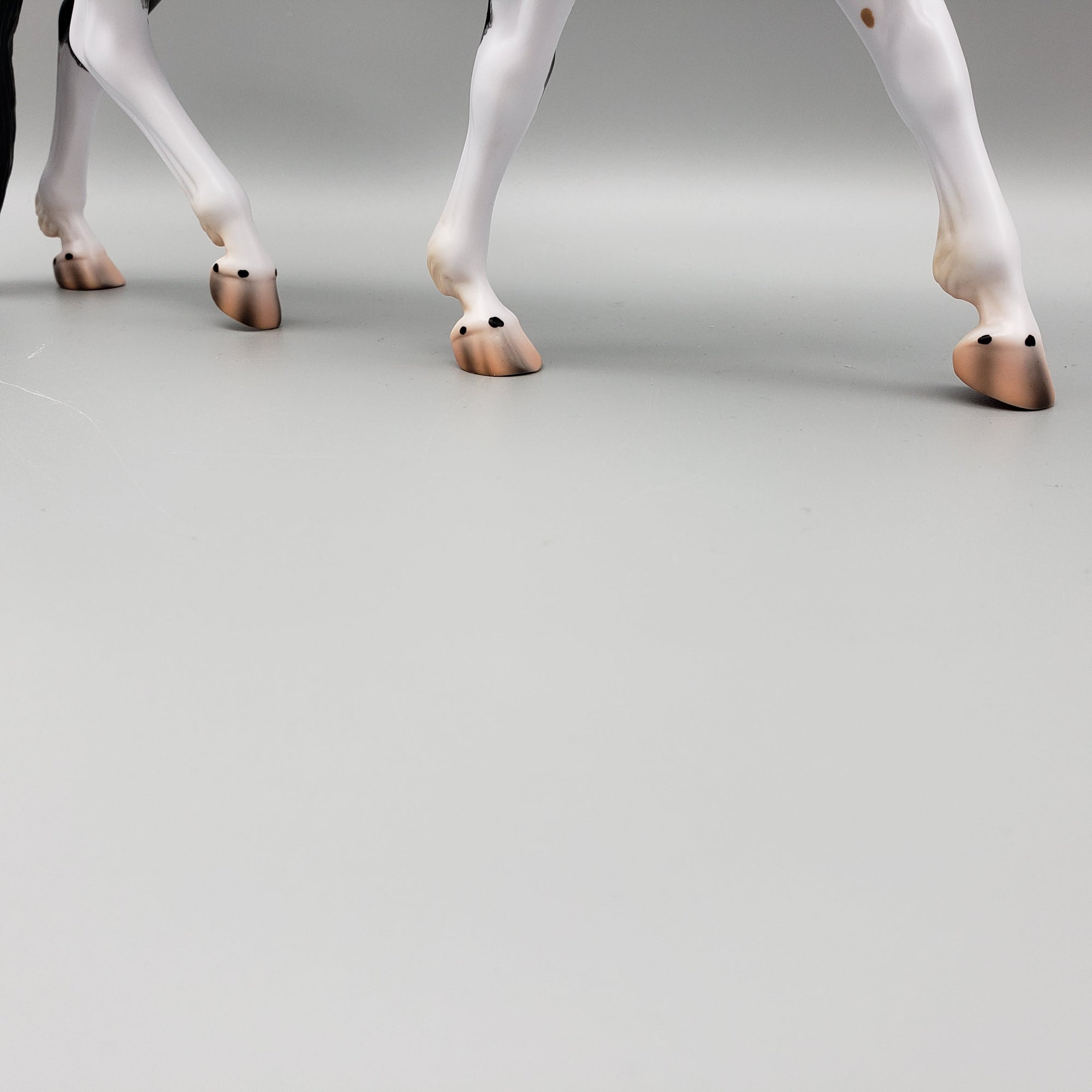 Ginko Blue Roan Tobiano Irish Draft By Caroline Boydston Best Offers 8/14/23