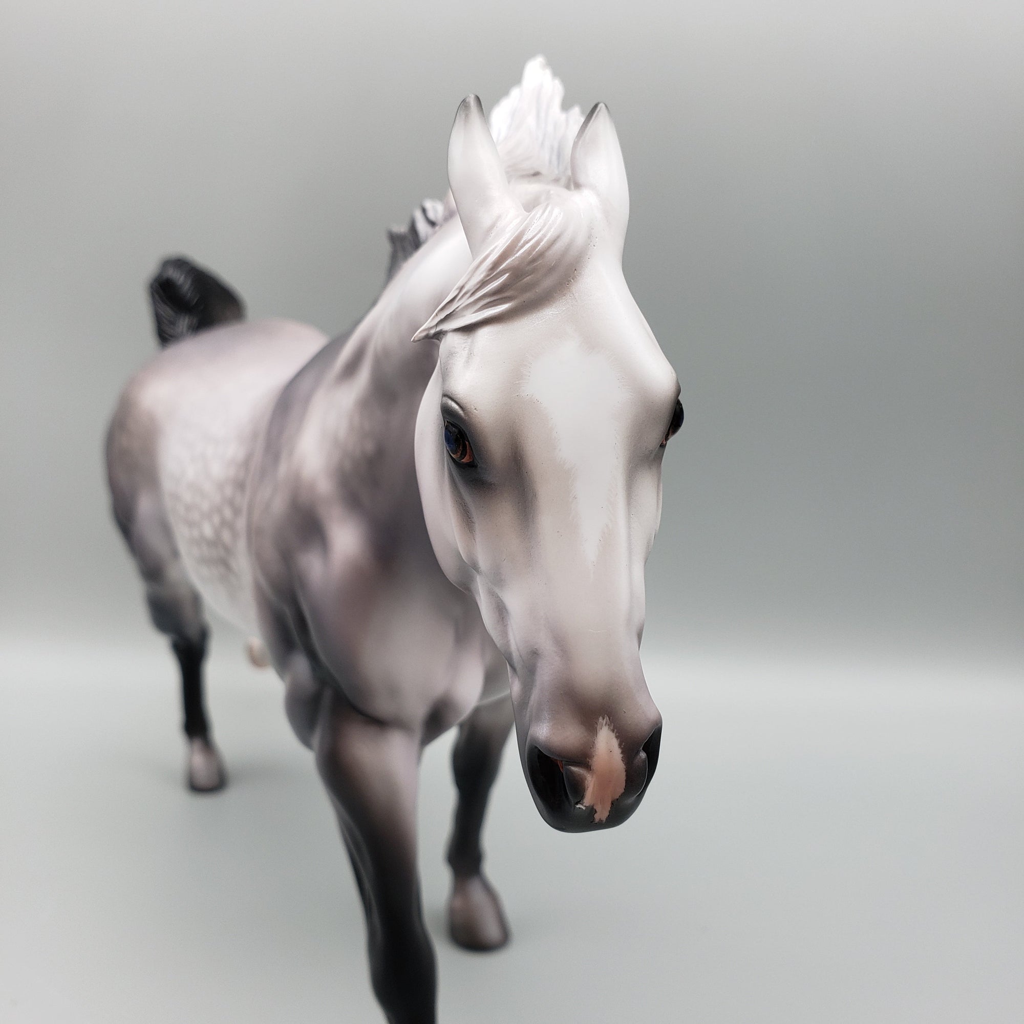 Tule OOAK Custom Remington Dapple Grey with Pinned Ears By Caroline Boydston Best Offers 8/14/23