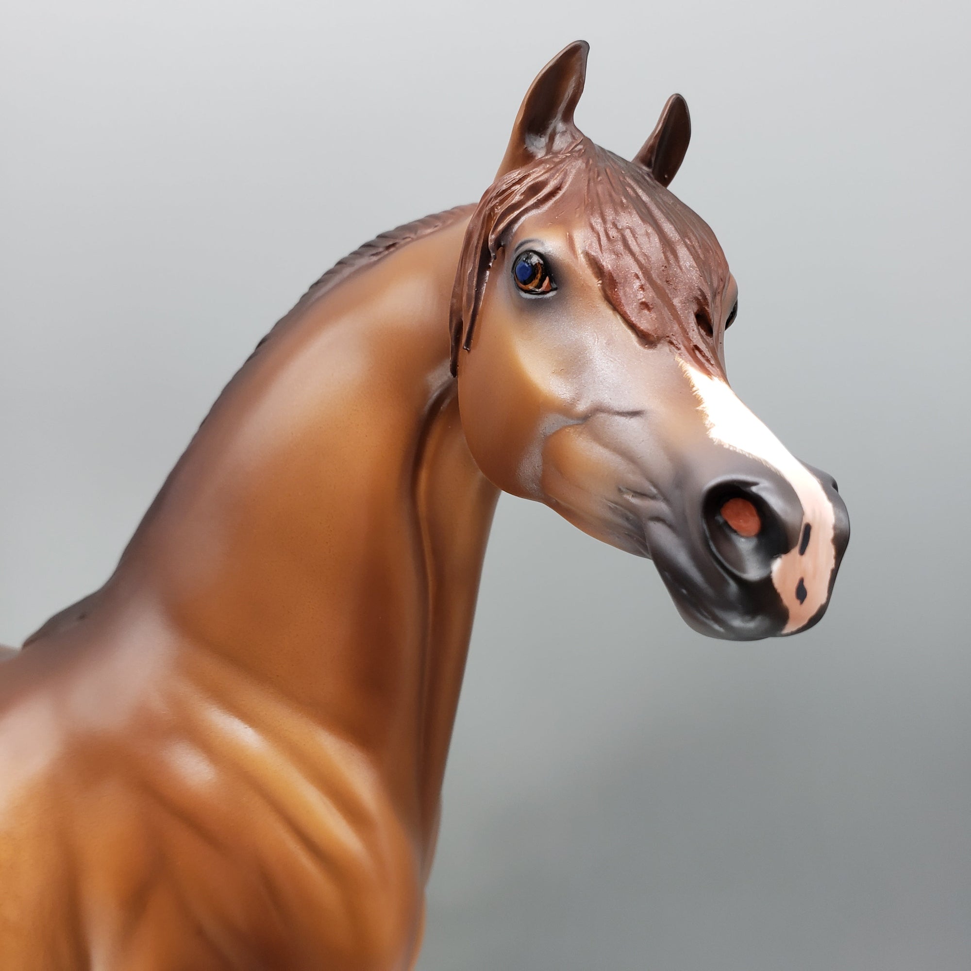 Sycamore OOAK Dappled Chestnut Arabian By Caroline Boydston Best Offers 8/14/23