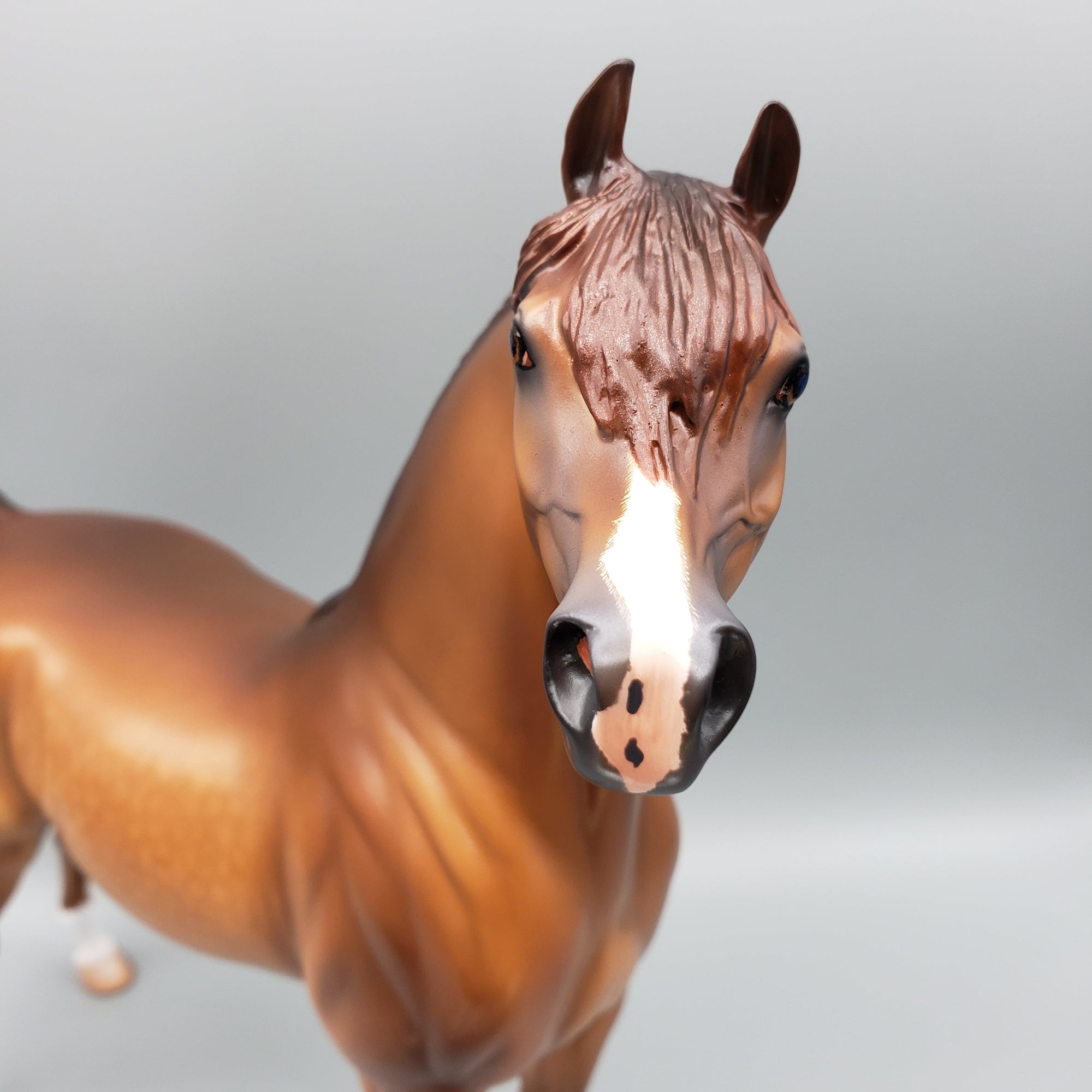 Sycamore OOAK Dappled Chestnut Arabian By Caroline Boydston Best Offers 8/14/23