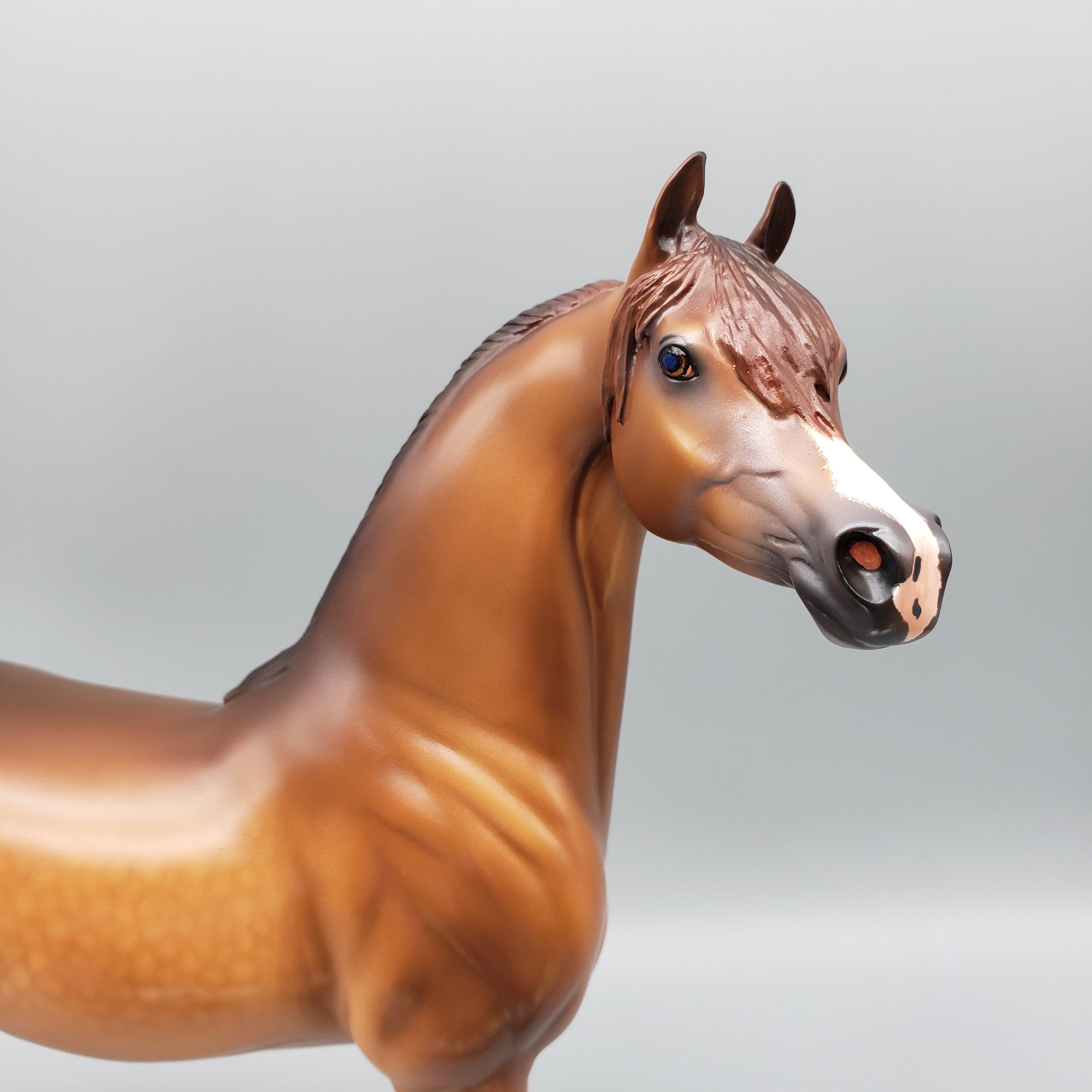 Sycamore OOAK Dappled Chestnut Arabian By Caroline Boydston Best Offers 8/14/23