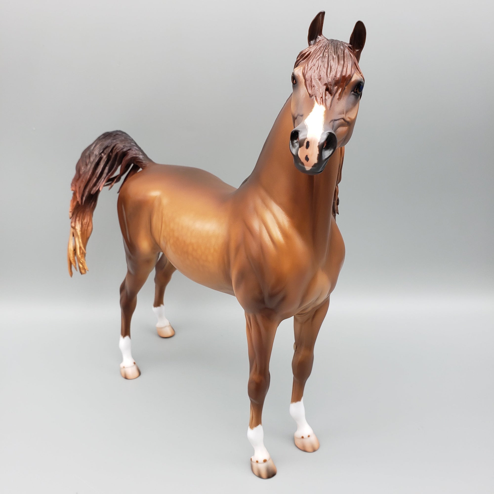 Sycamore OOAK Dappled Chestnut Arabian By Caroline Boydston Best Offers 8/14/23