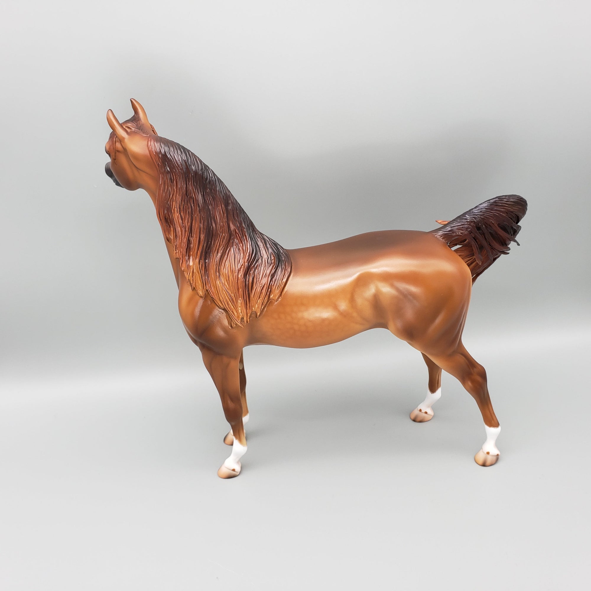 Sycamore OOAK Dappled Chestnut Arabian By Caroline Boydston Best Offers 8/14/23