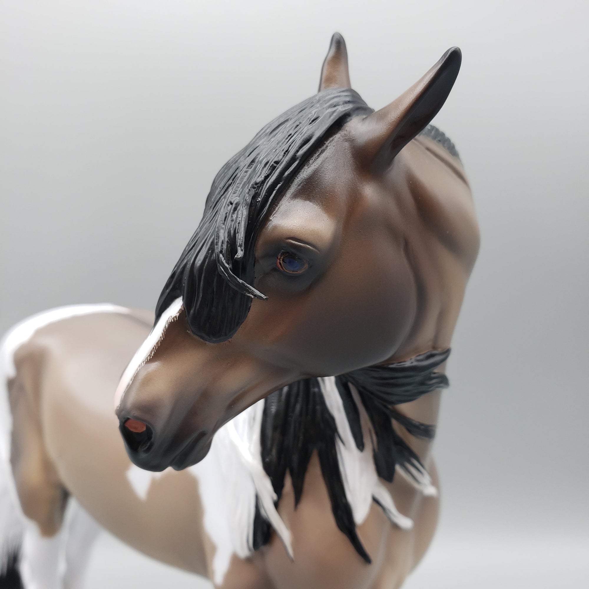 Banyan OOAK Custom Grulla Pinto Andalusian By Caroline Boydston Best Offers 8/14/23