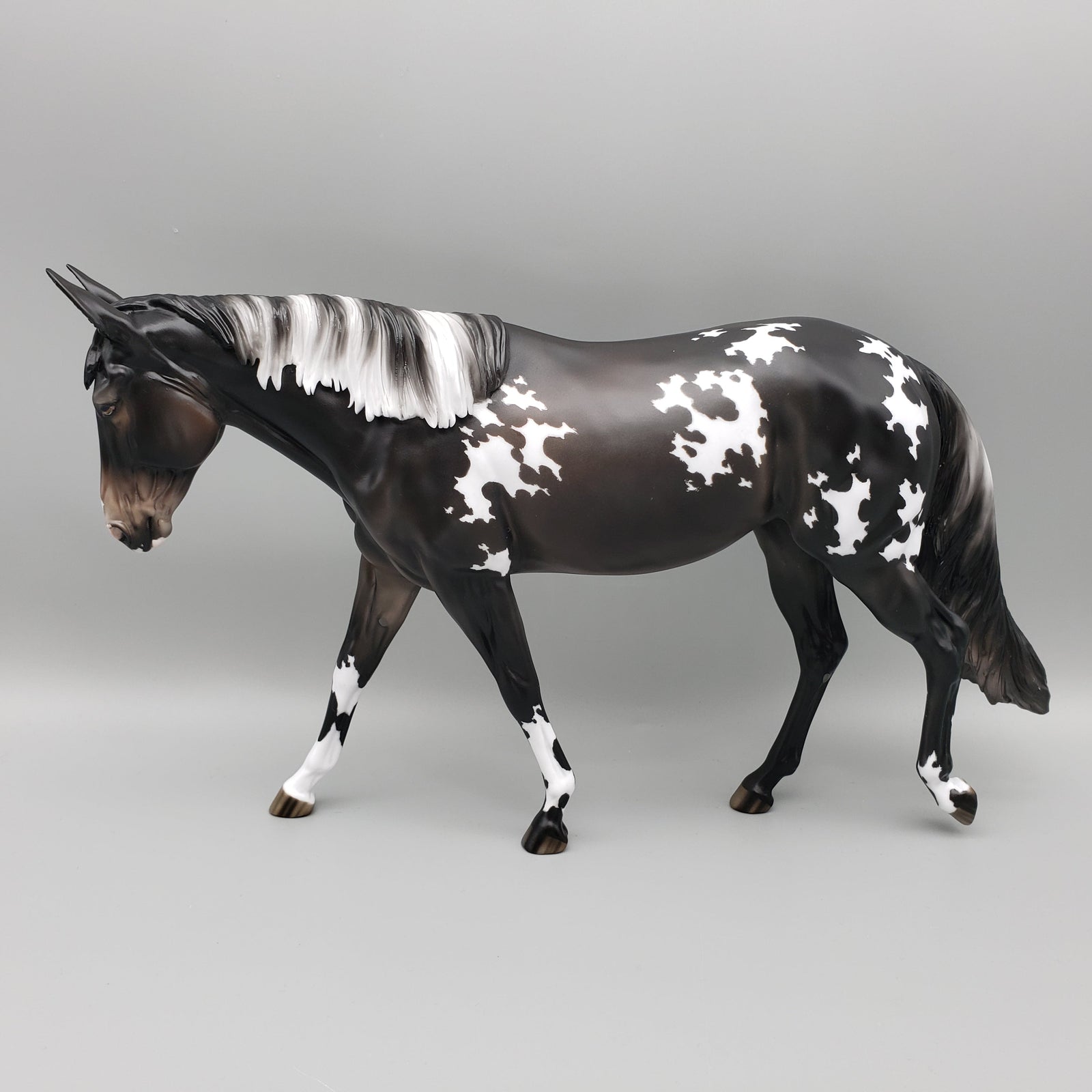 Diadem OOAK Black Appaloosa Mule by Jess Hamill AoTH23 Best Offers