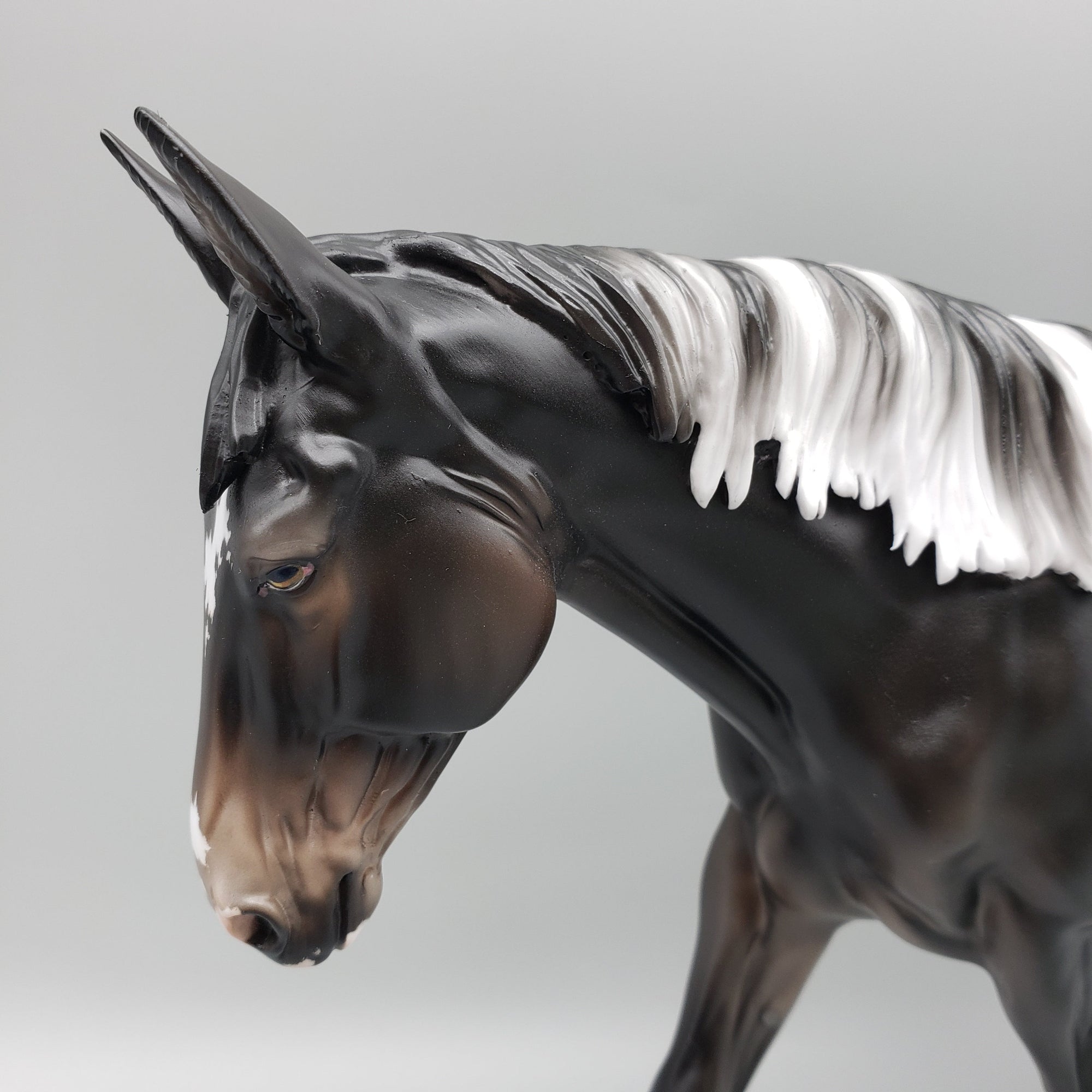 Diadem OOAK Black Appaloosa Mule by Jess Hamill AoTH23 Best Offers